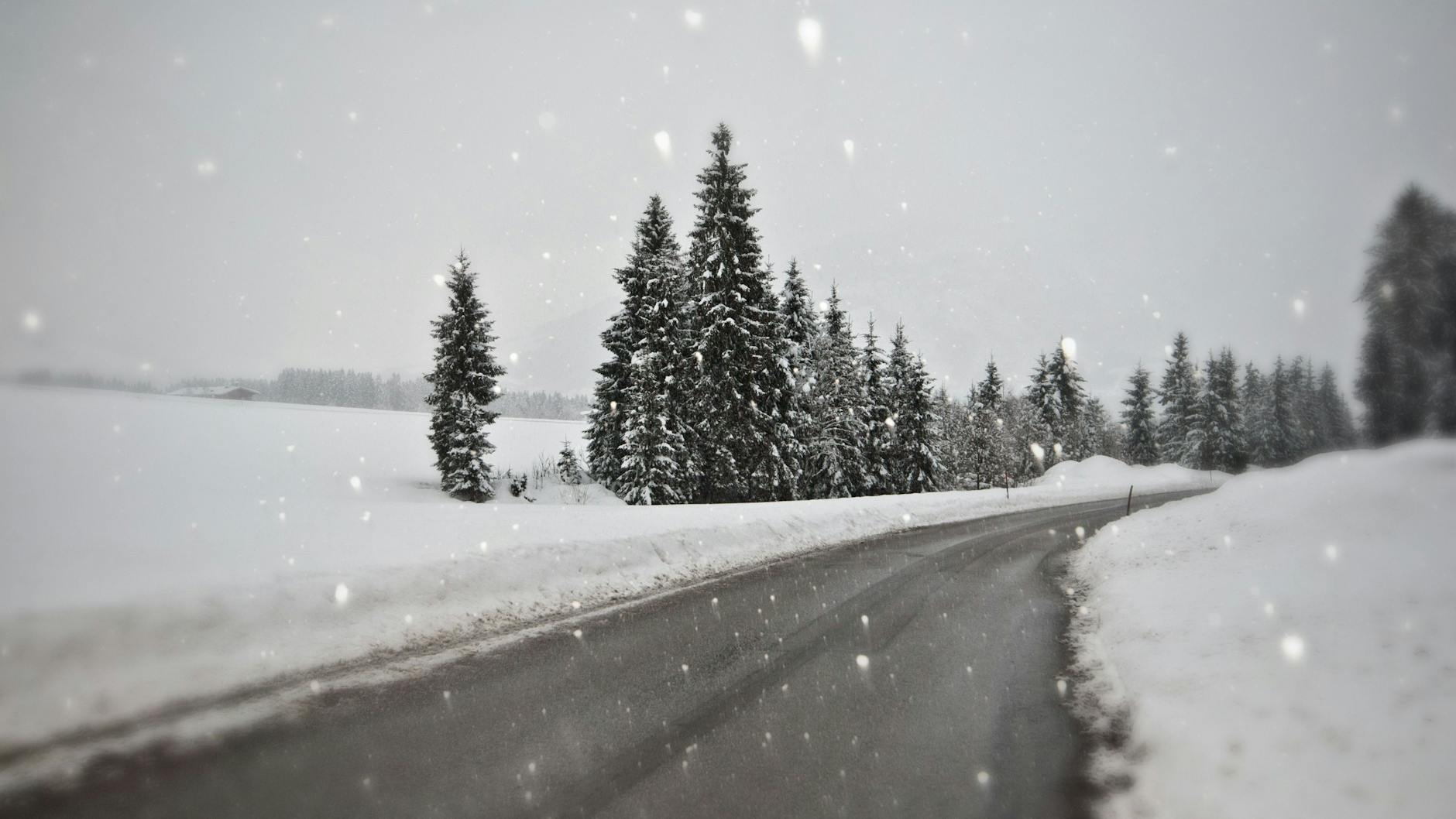 Lassen Sie sich von Stau und Wetterbedingungen nicht die Weihnachtsstimmung vermiesen.