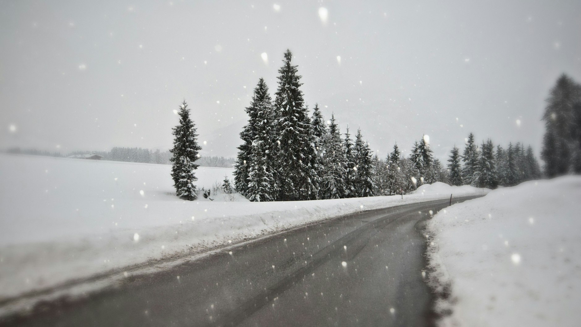 Lassen Sie sich von Stau und Wetterbedingungen nicht die Weihnachtsstimmung vermiesen.