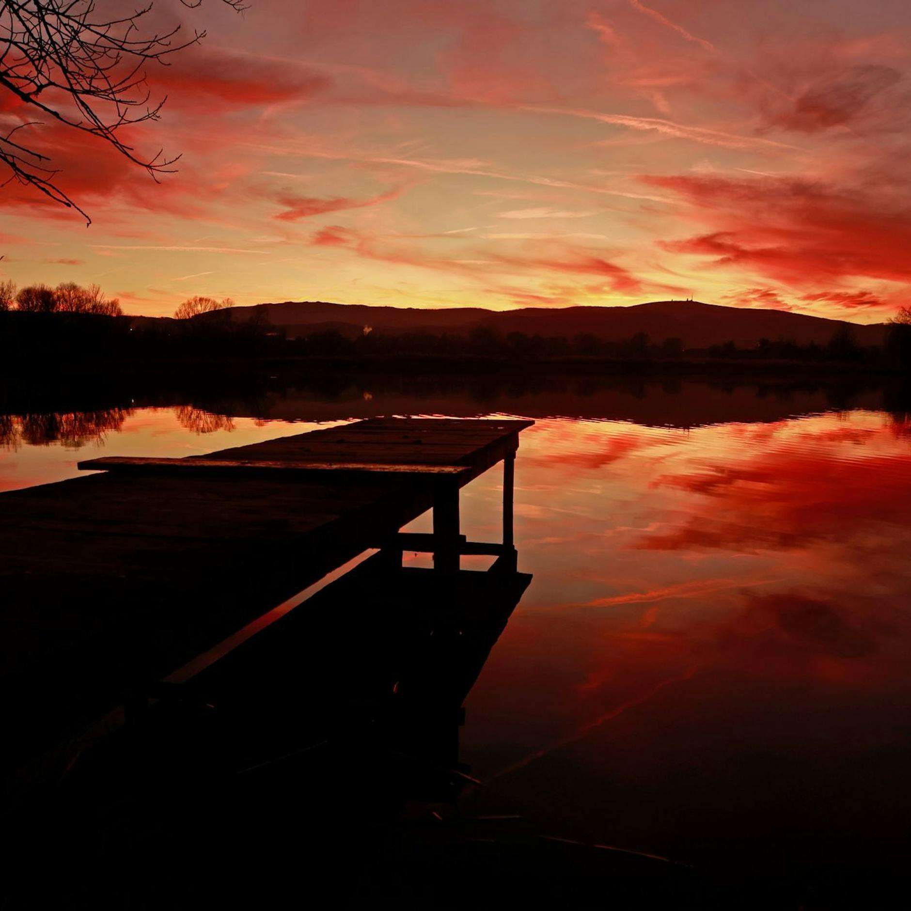 Image - Bilder des Tages