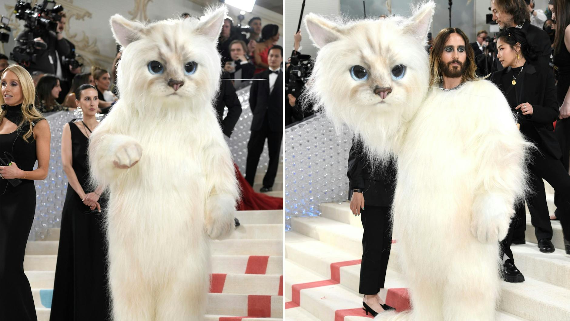 Jared Leto als Katze Choupette bei der Gala des Metropolitan Museum of Art in New York anlässlich der Ausstellung „Karl Lagerfeld: A Line of Beauty“.
