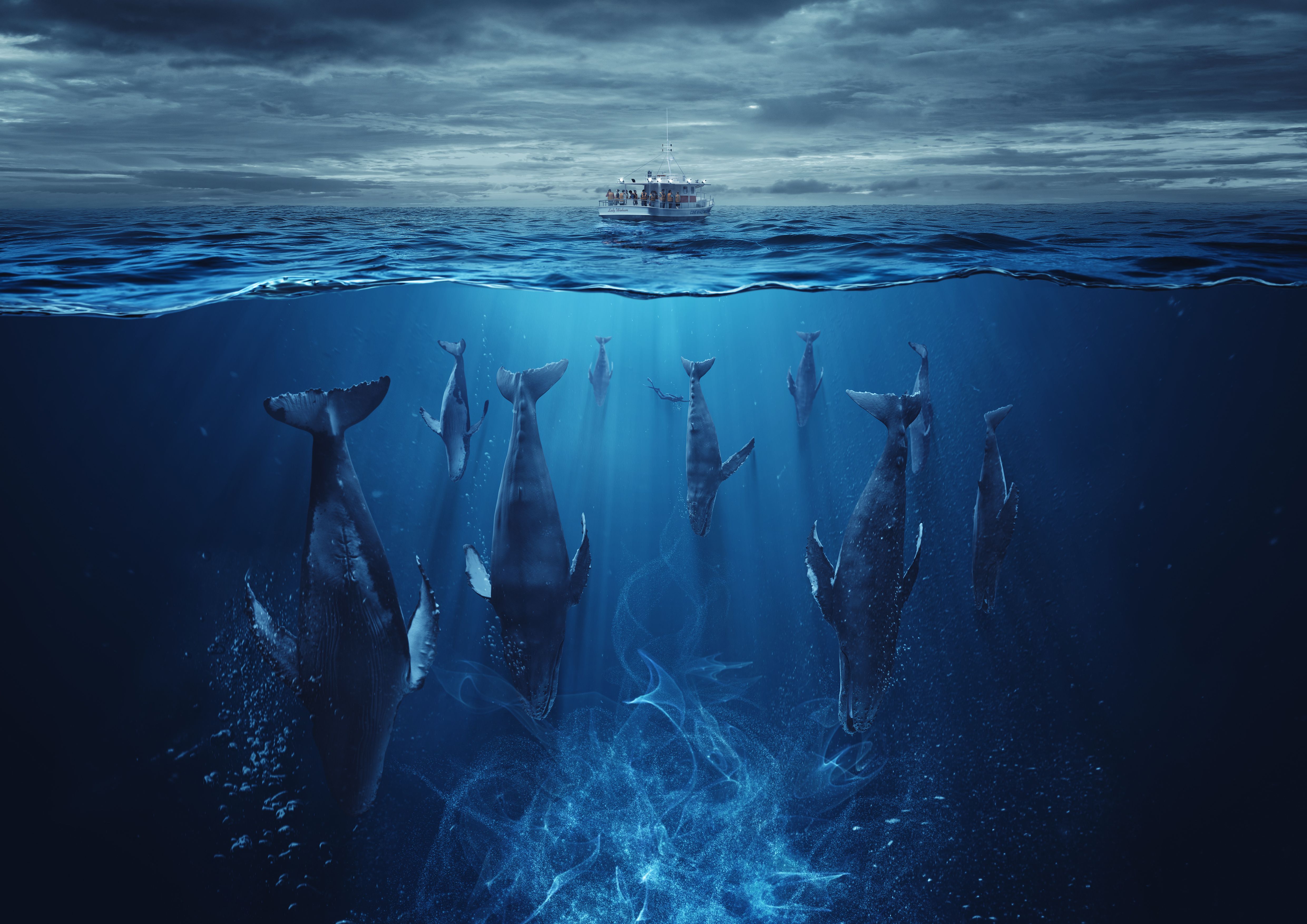 Dieser TV-Sender ist der Quotensieger 2023