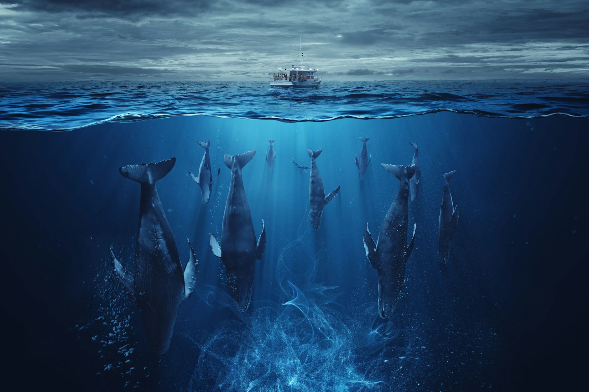 Die ZDF-Ökothriller-Serie „Der Schwarm“ war international ein Verkaufserfolg.