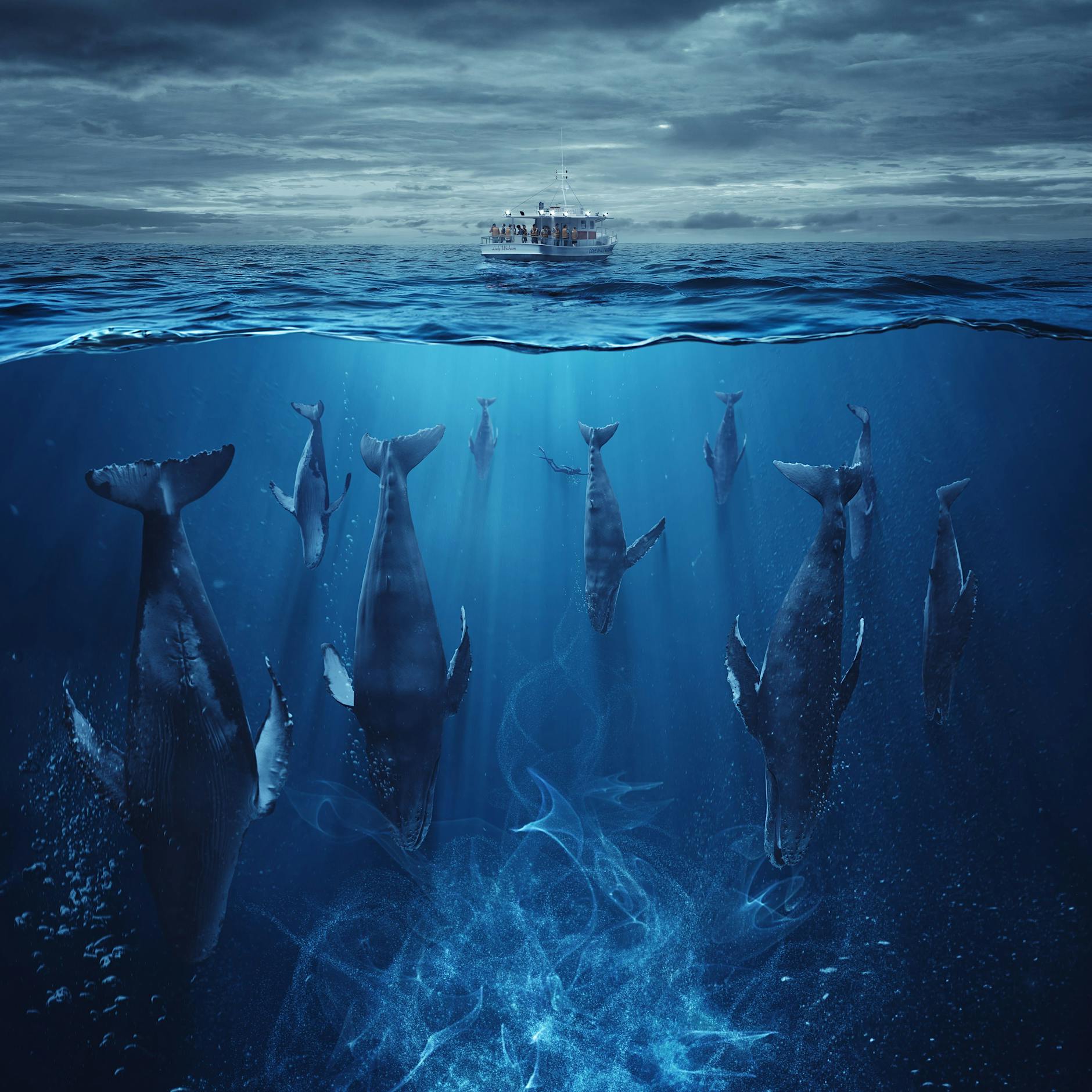 Dieser TV-Sender ist der Quotensieger 2023