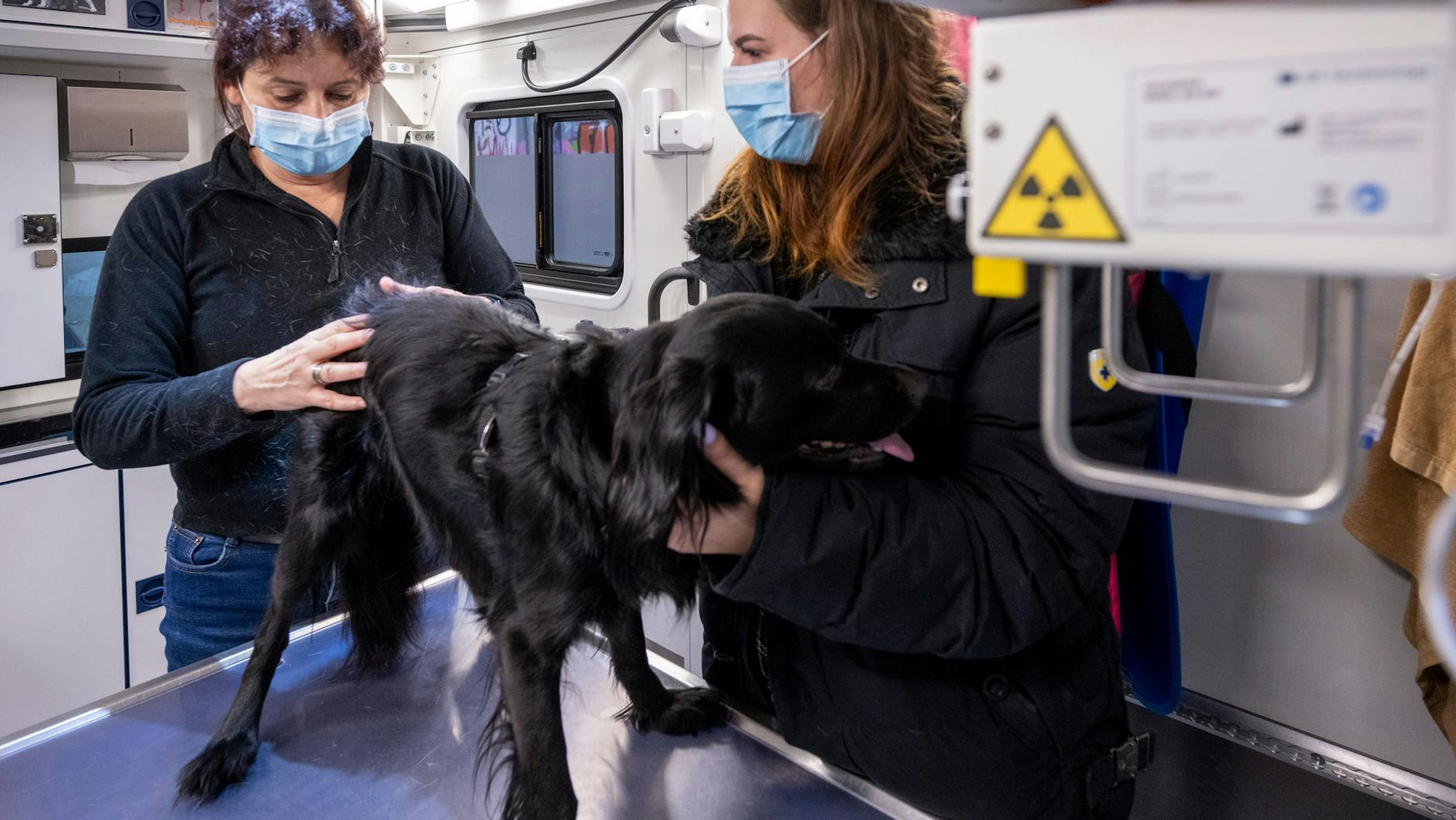Tierärztin Jeanette Klemmt (l.) untersucht in ihrer mobilen Tierarztpraxis den dreijährigen Hund Skittelz und spricht dabei mit der 21-jährigen Angie, der Besitzerin des Tieres. 