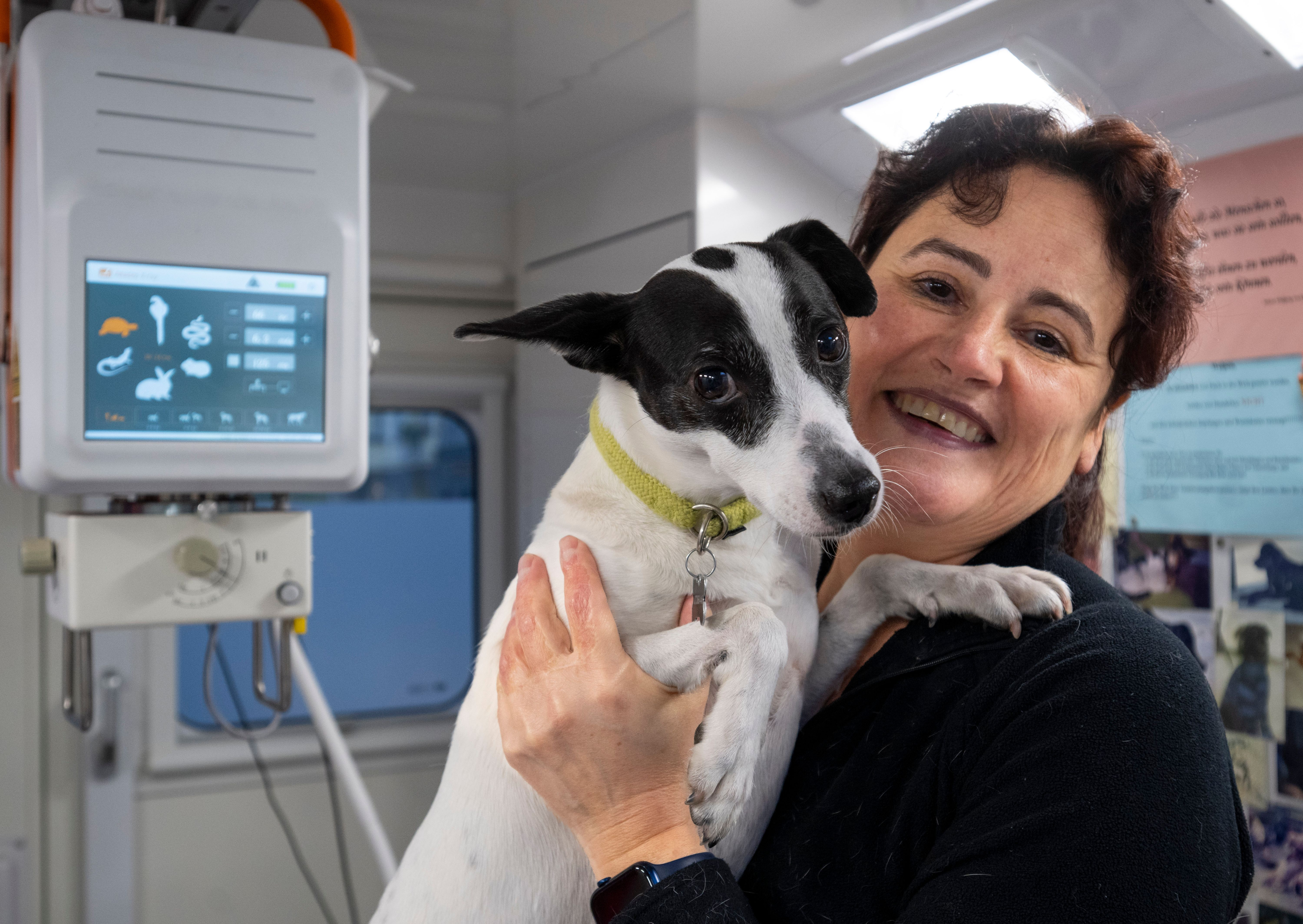 Image - Sie ist der Engel der Straßentiere