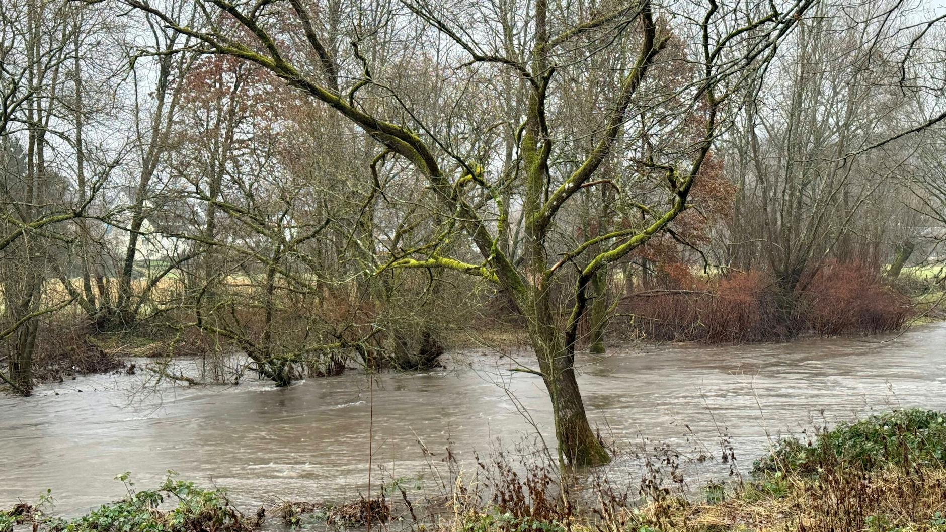 Nach Dauerregen steigt der Pegel der Flüsse - wie hier im Siegerland.