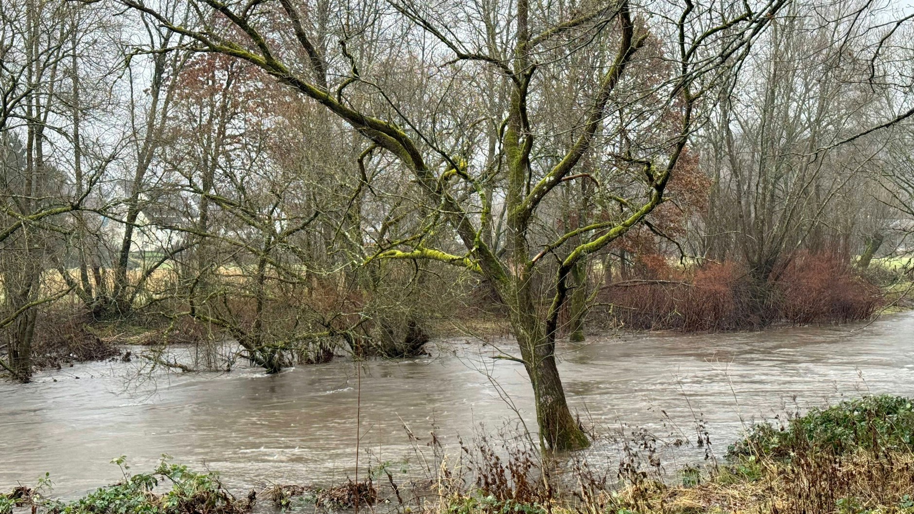 Nach Dauerregen steigt der Pegel der Flüsse - wie hier im Siegerland. 