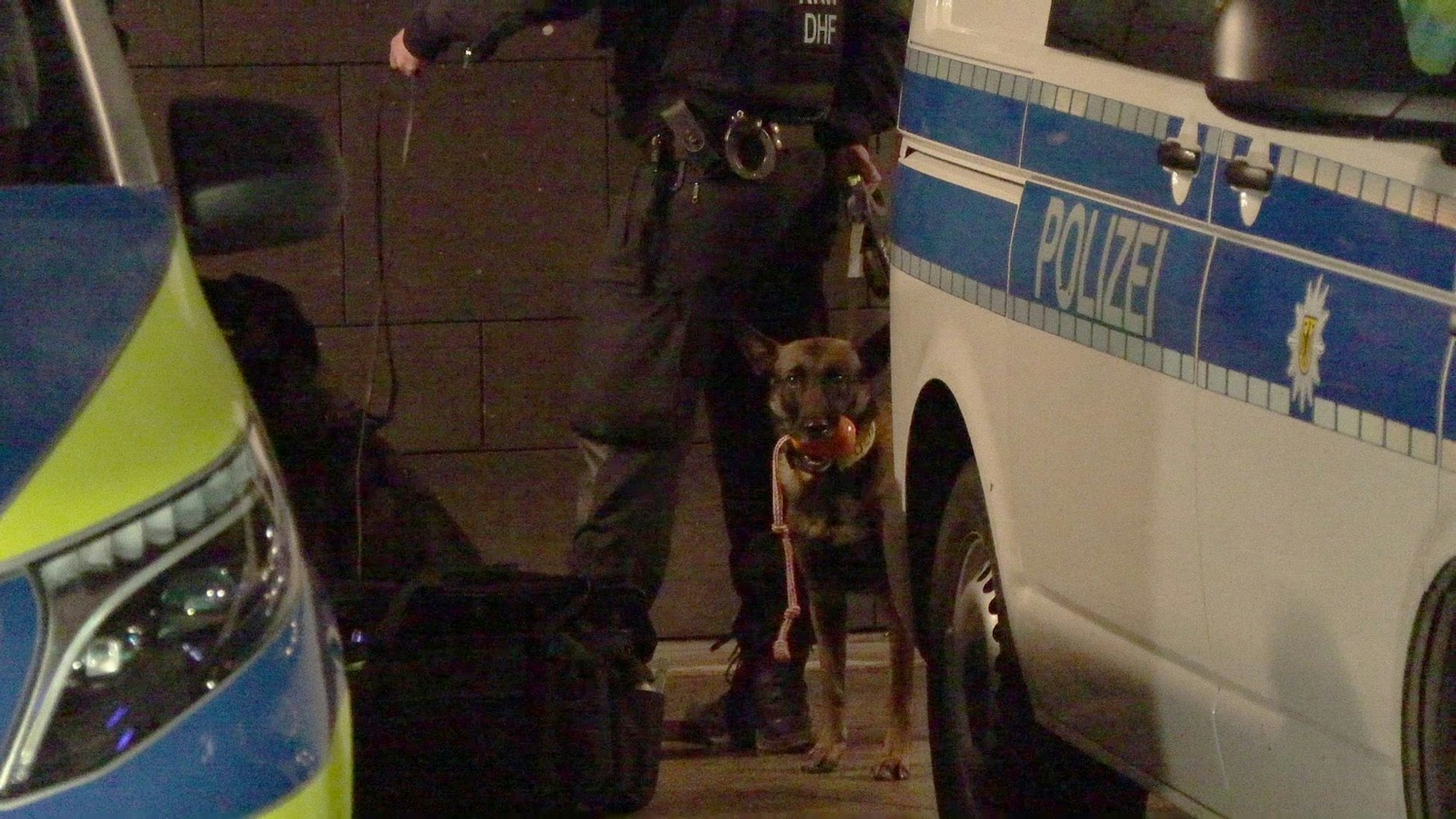 Hier warten die Spürhunde der Polizei auf ihren Einsatz.