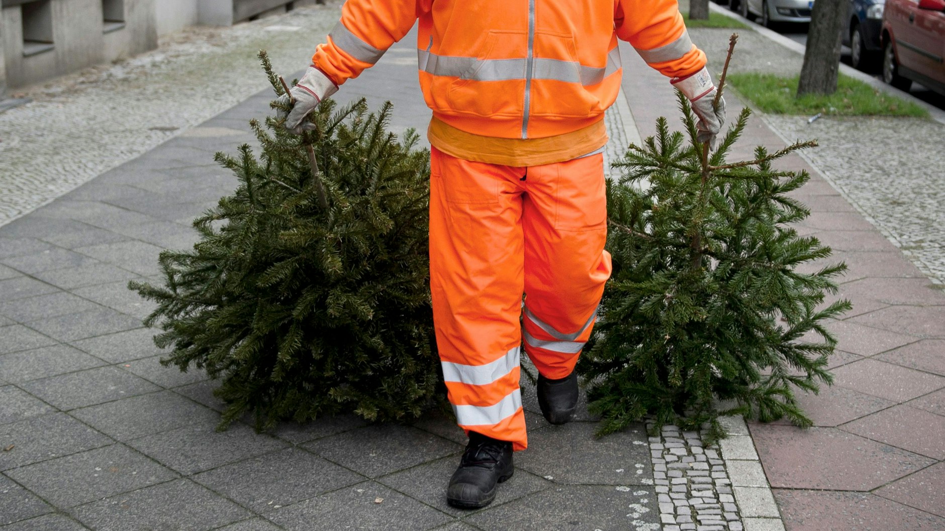 Mitarbeiter der BSR kümmern sich um die ausrangierten Weihnachtsbäume.