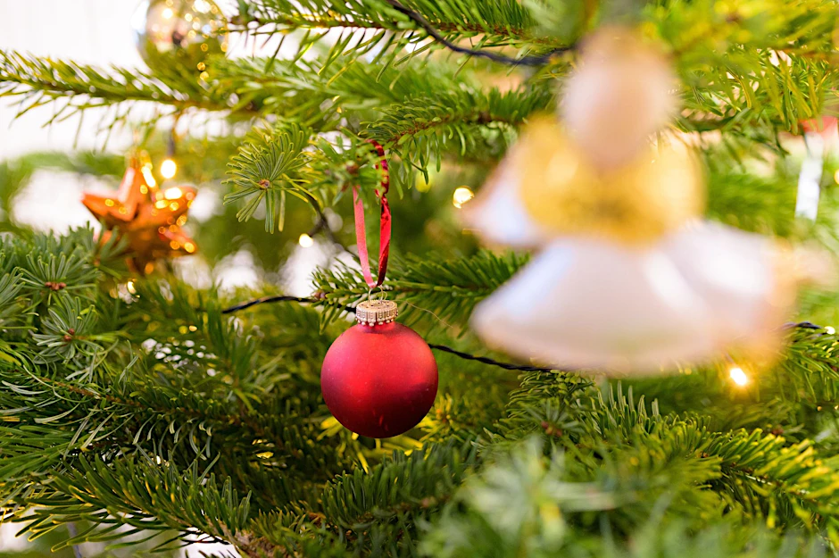 ARCHIV - Ein geschmückter Tannenbaum.  