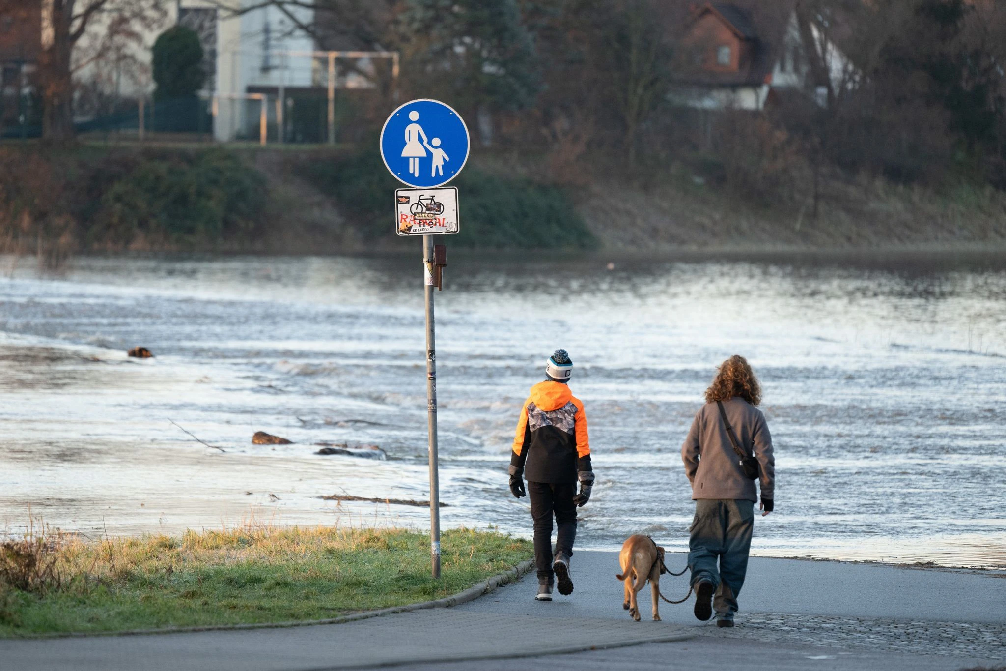 Das Hochwasser der Elbe tritt in der Flutrinne zwischen den Dresdner Stadtteilen Kaditz und Mickten über das Ufer.  