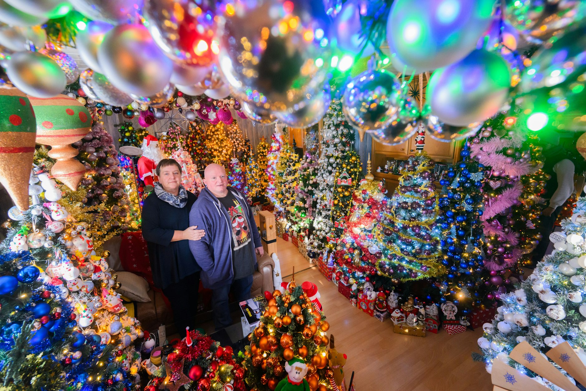 Susanne und Thomas Jeromin stehen inmitten von Weihnachtsbäumen im Wohnzimmer ihres Hauses im Landkreis Schaumburg. 555 Weihnachtsbäume und knapp 108.000 Christbaumkugeln.