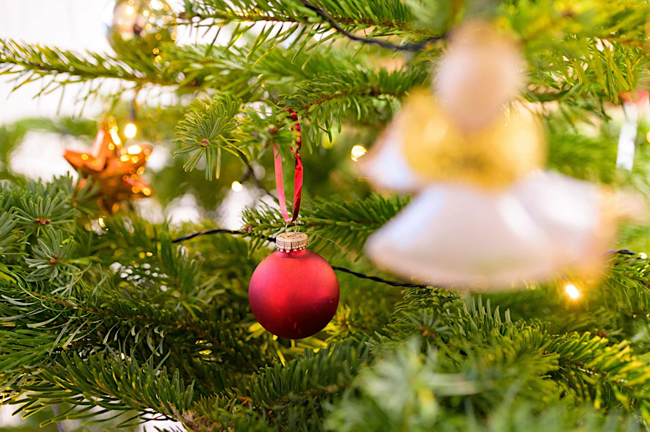 ARCHIV - Ein geschmückter Tannenbaum.  