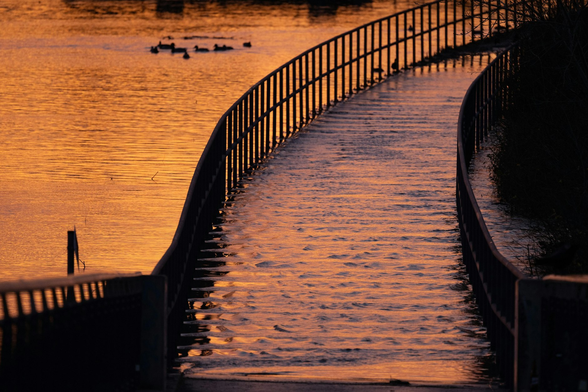 Das Licht der aufgehenden Sonne spiegelt sich im Hochwasser der Elbe auf einem Radweg. An der Elbe in Dresden entspannt sich die Hochwasserlage etwas.