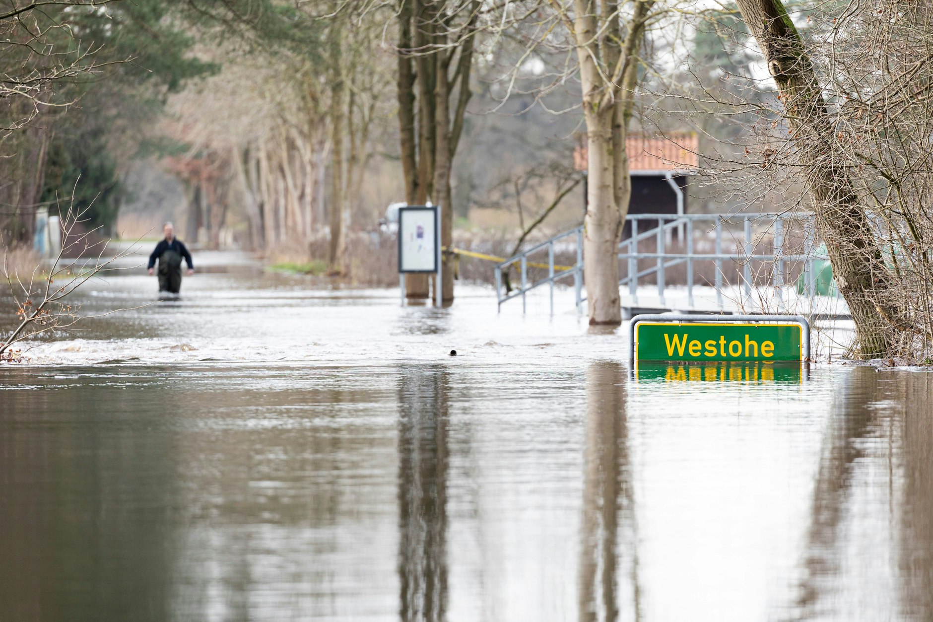 Land unter bei Winsen an der Aller: Eine Person läuft auf einer überfluteten Straße in der Siedlung Westohe im Landkreis Celle.