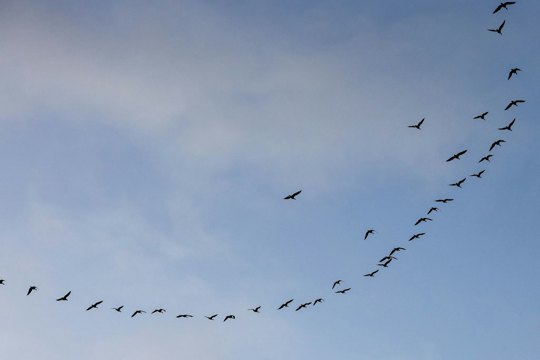 Wildgänse fliegen bei Sonnenaufgang am Himmel. Am vorletzten Tag des Jahres lässt sich in Teilen Deutschlands gelegentlich die Sonne blicken.  