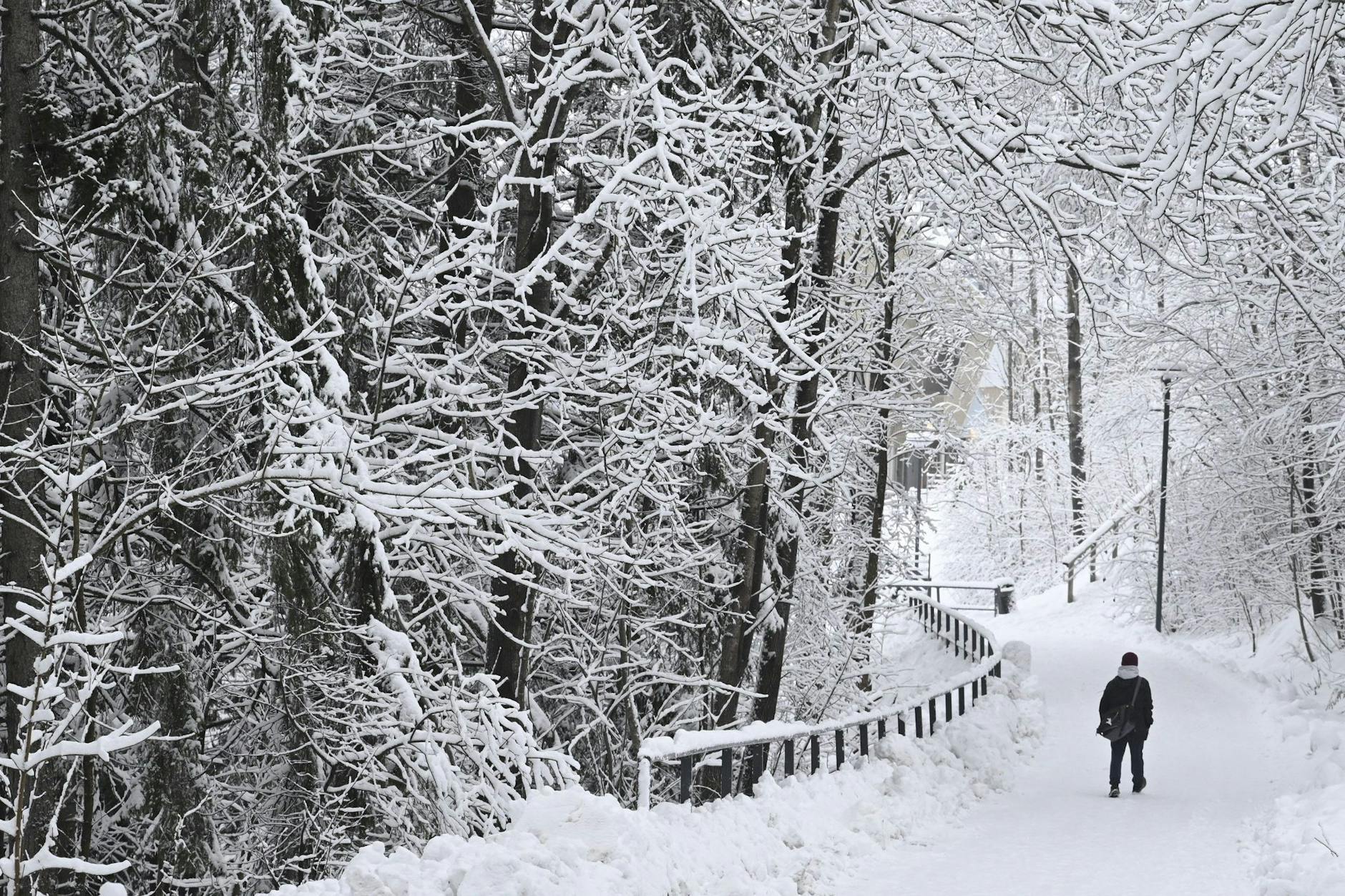 Ein Winterspaziergang wie im Bilderbuch: Eine Person watet durch den Schnee im finnischen Espoo.