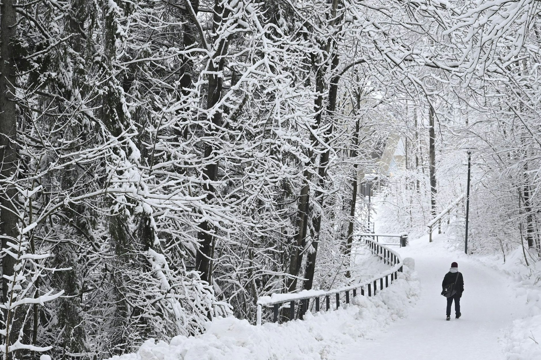 Ein Winterspaziergang wie im Bilderbuch: Eine Person watet durch den Schnee im finnischen Espoo.  