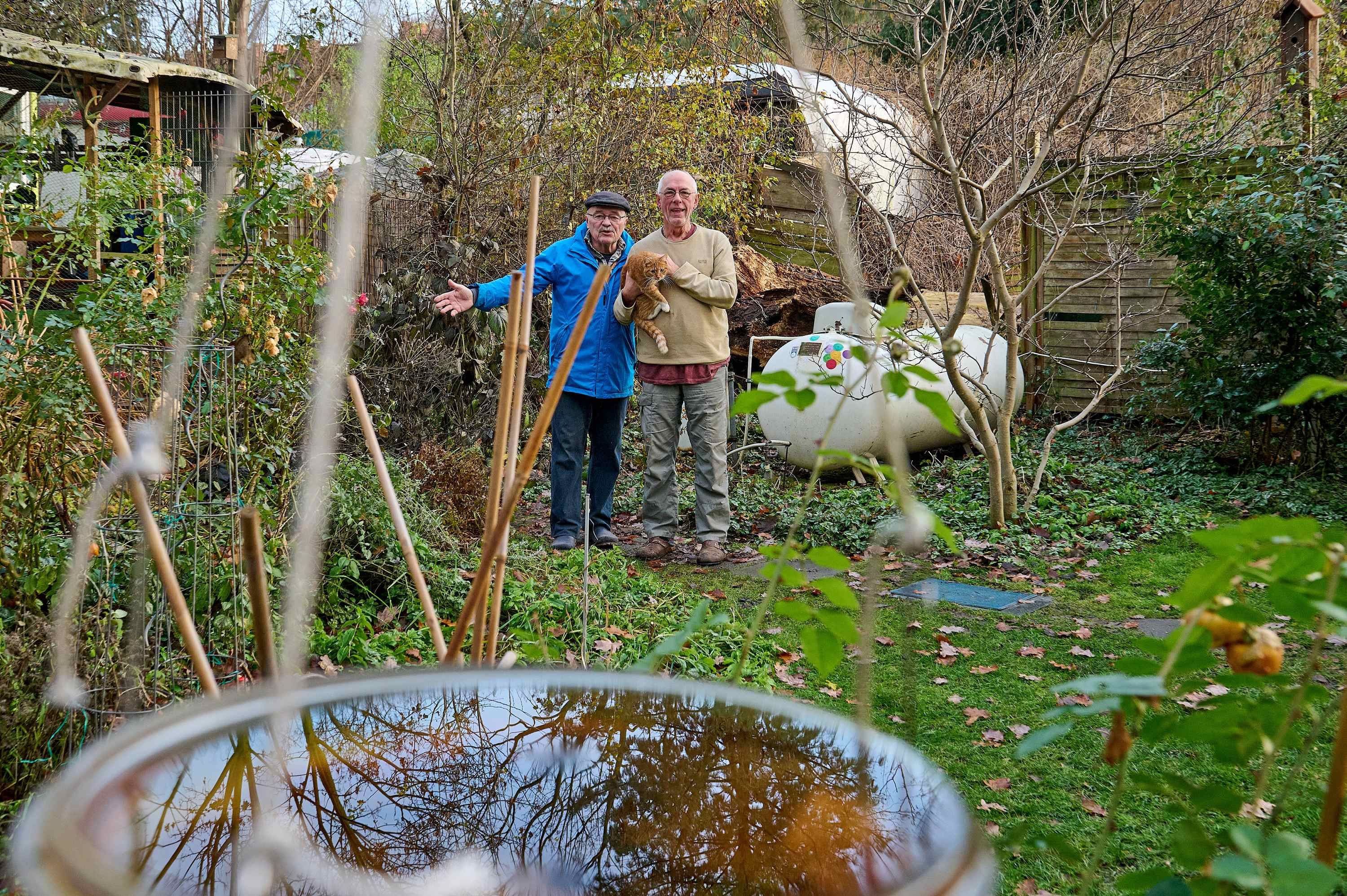 Berliner Rollheimer: Hilfe, unser Gartenparadies wird plattgemacht!