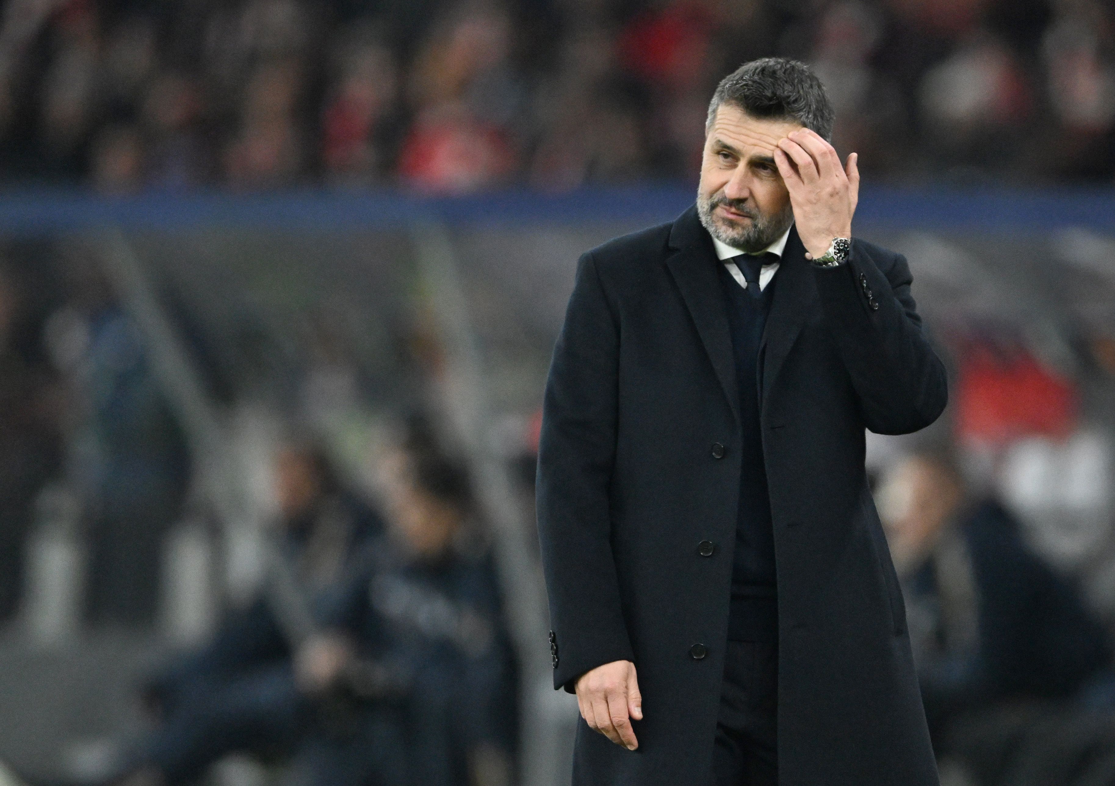 Trainer Nenad Bjelica: Es gibt was, das ihn mehr reizt als der 1. FC Union