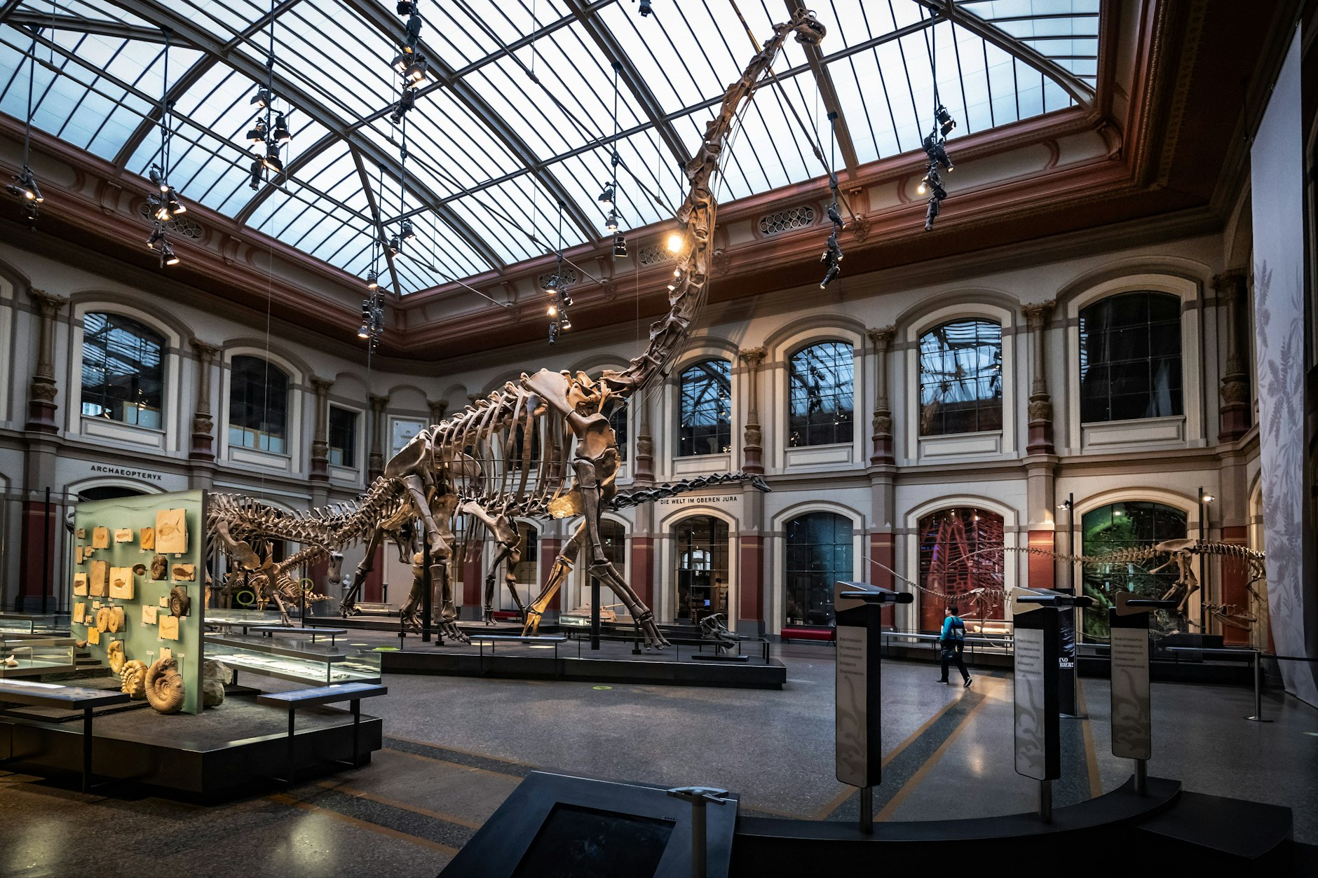Das Museum für Naturkunde ist eines von 72 Berliner Museen, die am eintrittsfreien Museumssonntag teilnehmen.