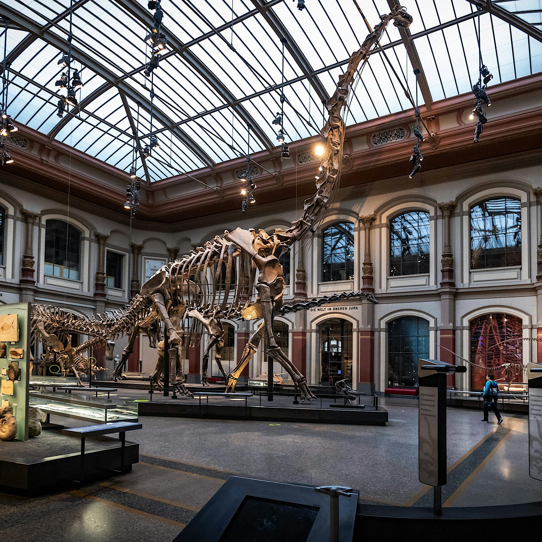 Museen in Berlin: Eintrittsfreier Museumssonntag bleibt auch im Jahr 2024 und 2025