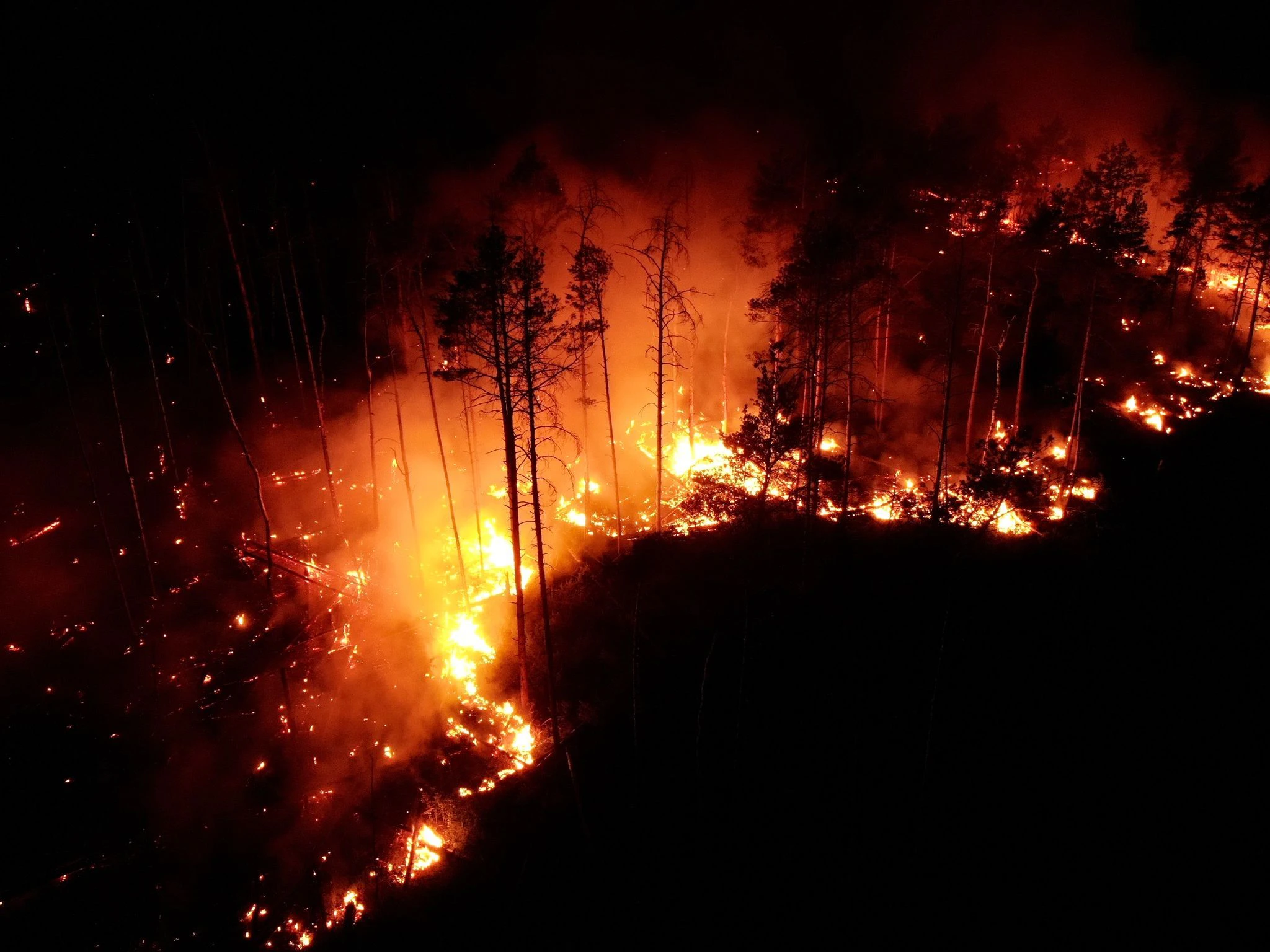 ARCHIV - Flammen schlagen im Juni in einem Waldstück nahe Jüterbog in die Höhe.  