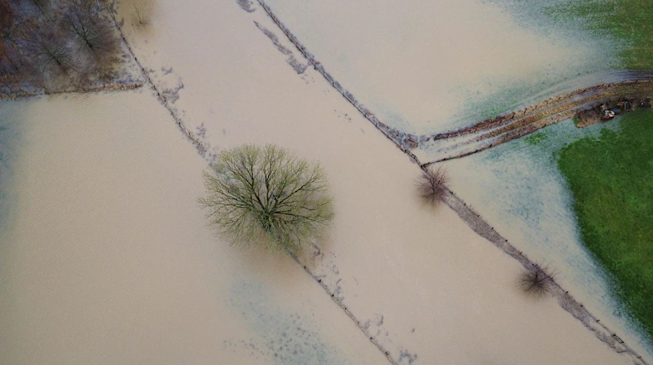 Wiesen und Ackerflächen sind vom Wasser der Trave überflutet. Regen und Wind sorgen in Teilen Schleswig-Holsteins für erhöhte Pegelstände.  
