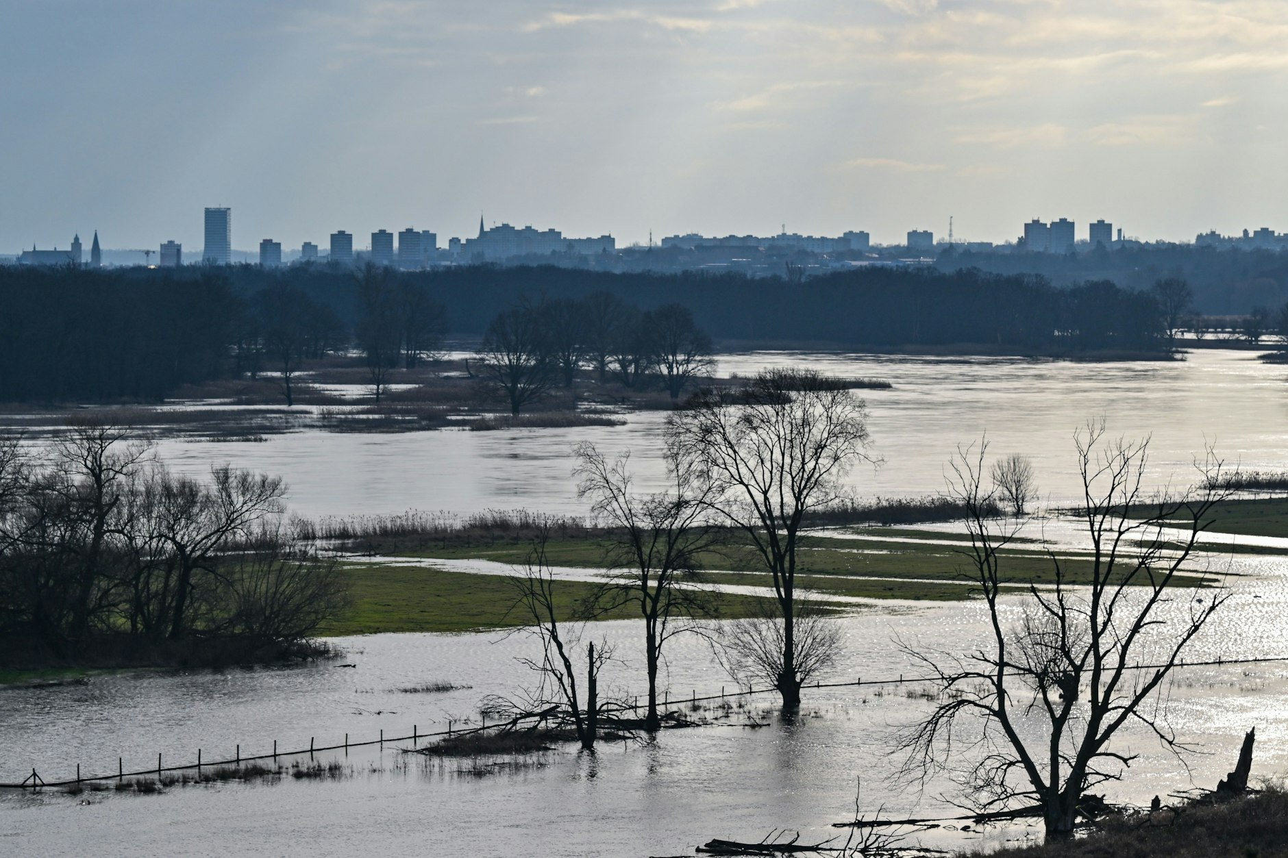 Das Hochwasser vom deutsch-polnischen Grenzfluss Oder hat die Wiesen im Odervorland überflutet. 