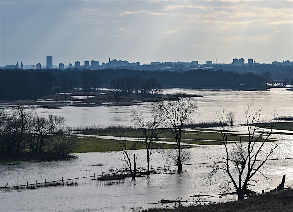 Das Hochwasser vom deutsch-polnischen Grenzfluss Oder hat die Wiesen im Odervorland überflutet.&nbsp;