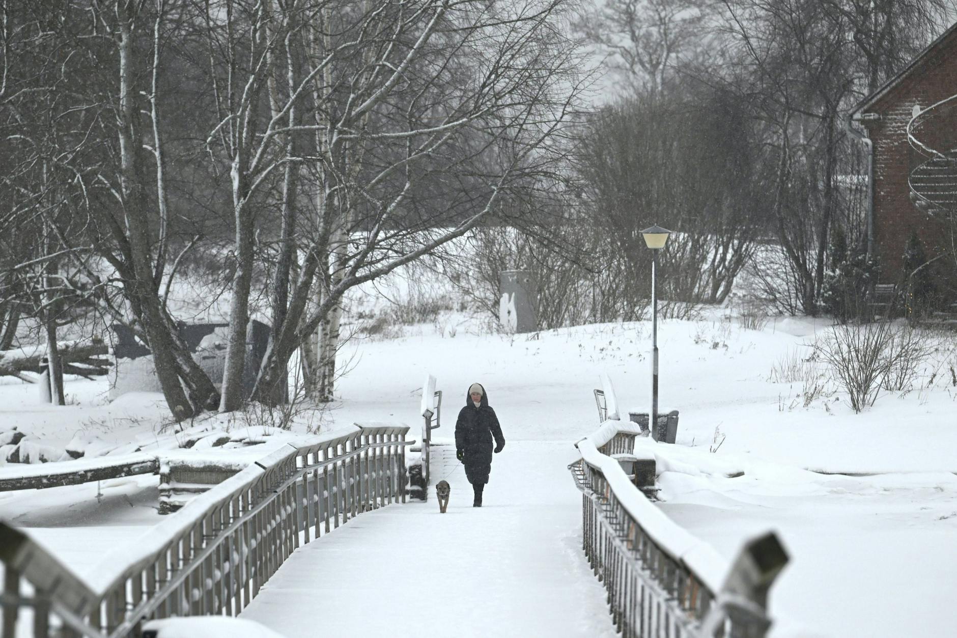 In Finnland wurden in den letzten Tagen bis zu minus 42 Grad gemessen. Auch die Temperaturen bei uns werden frostig.