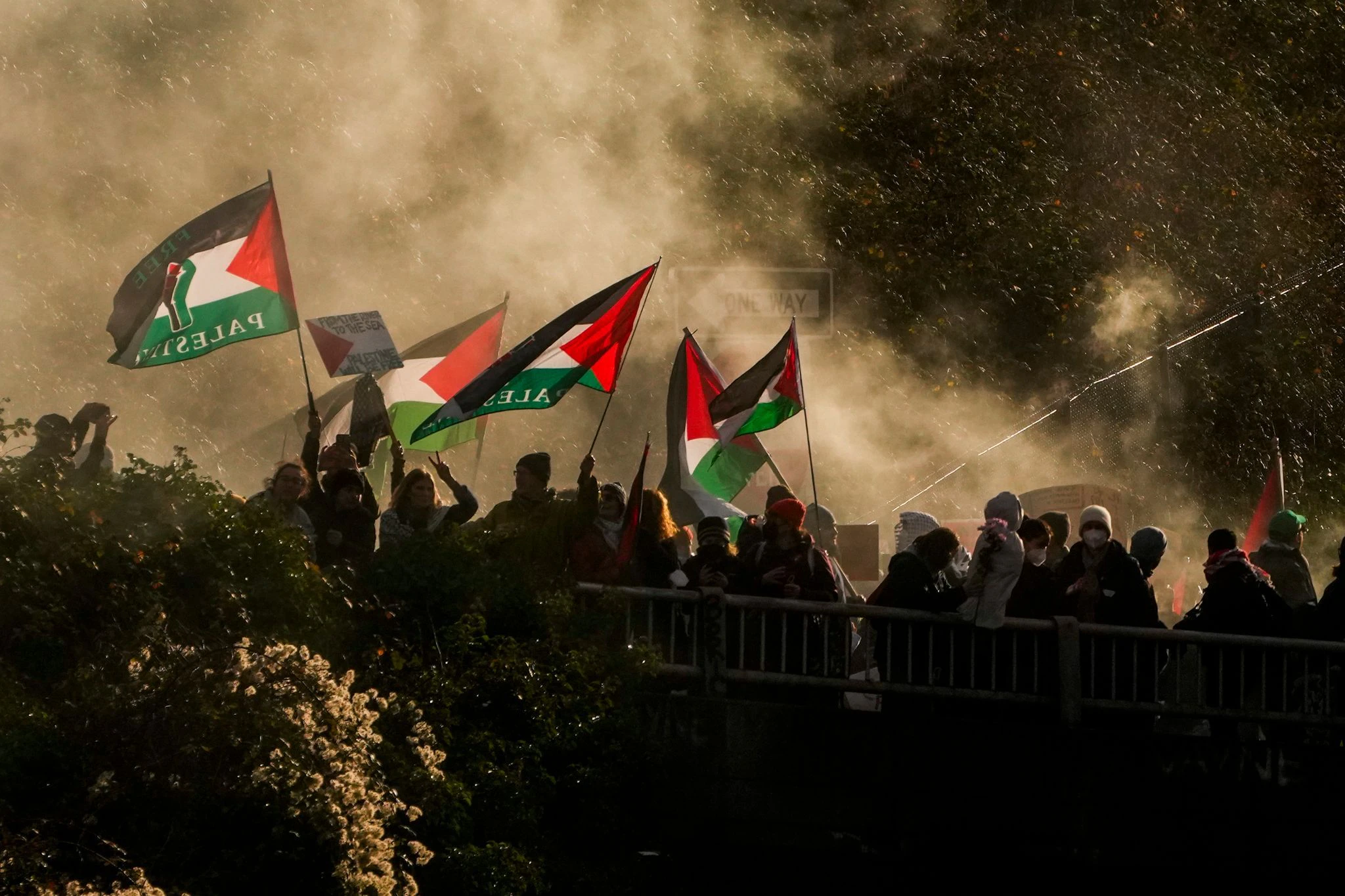 Demonstranten in Seattle, USA, fordern einen Waffenstillstand zwischen Israel und Hamas.  