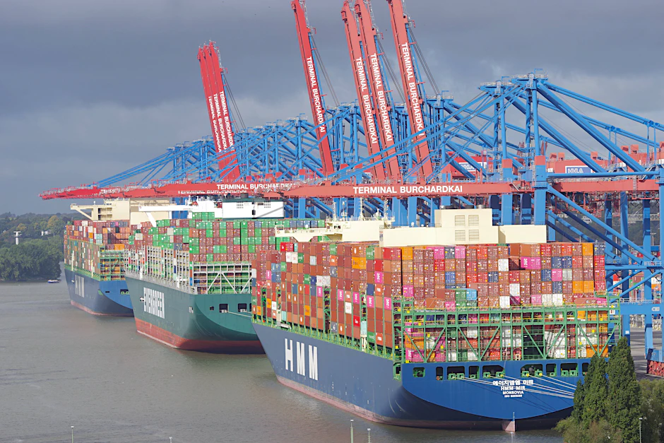 Containerfrachter im Hamburger Hafen: Die Weltwirtschaft steht angeblich vor düsteren Zeiten.