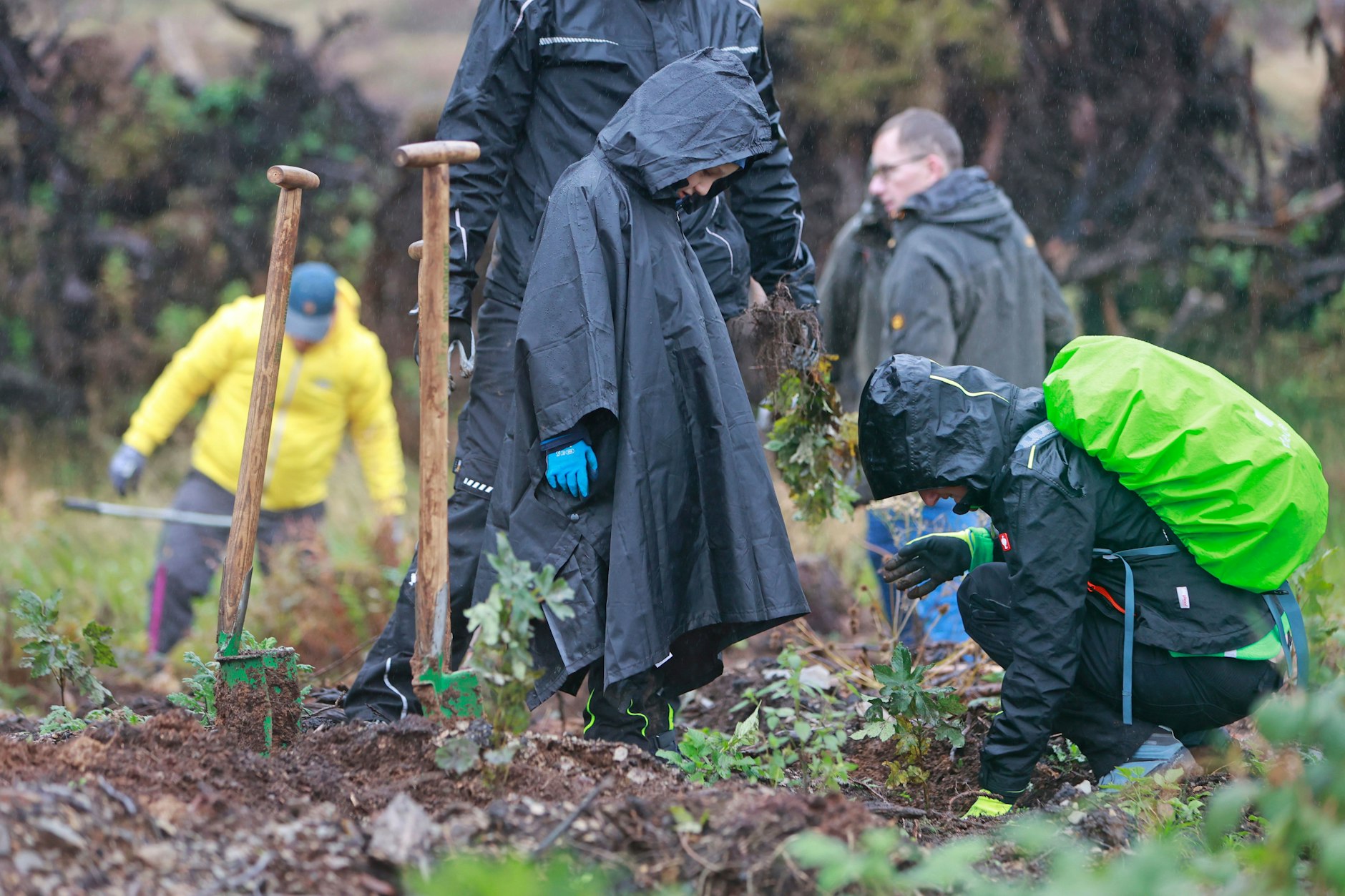 Teilnehmer und Förderer der Baumpflanz-Initiative heiermann4future pflanzen unter anderem Bergahorn.&nbsp;