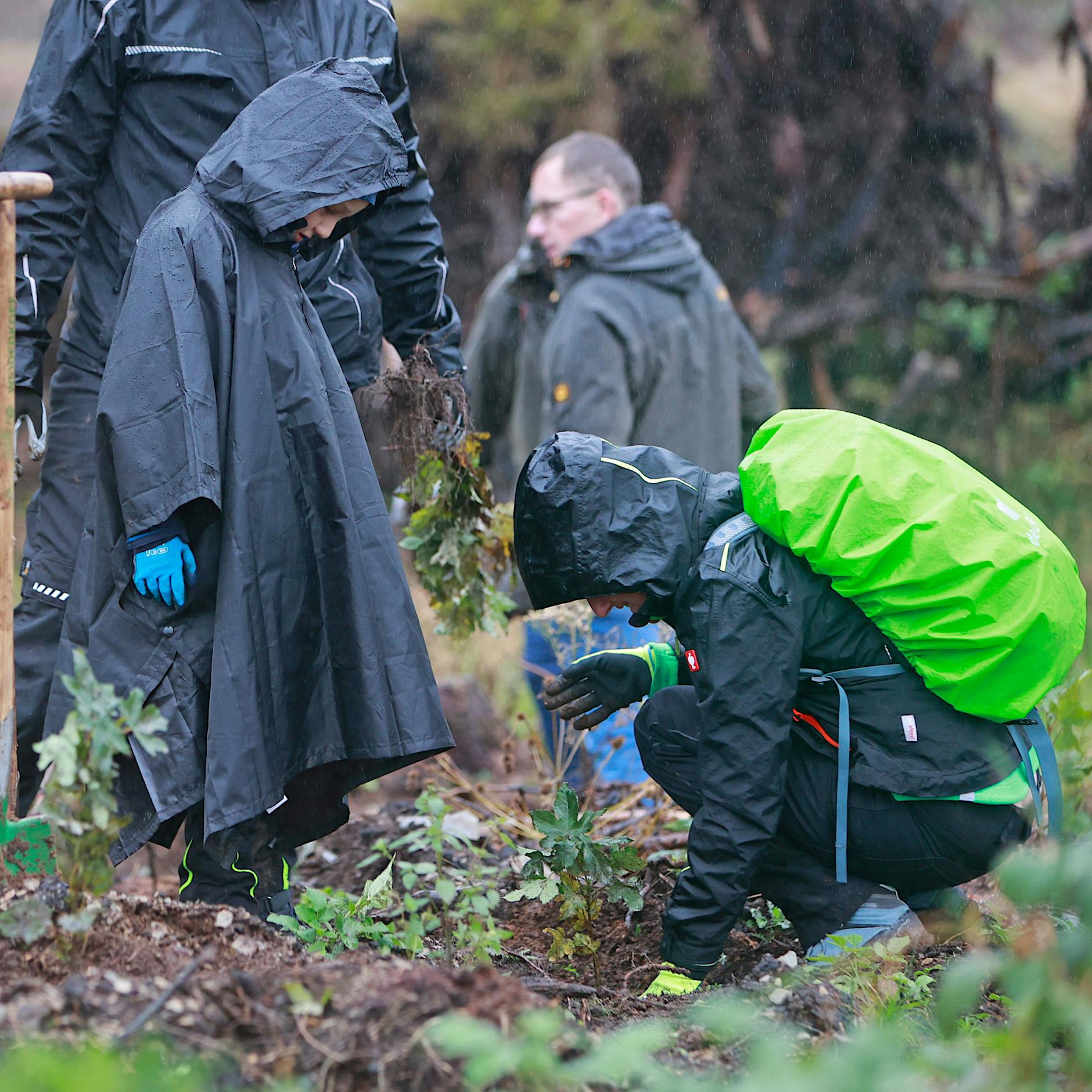 Wie ich in Vorpommern 263 Bäume pflanzte, um den Klimawandel zu bremsen