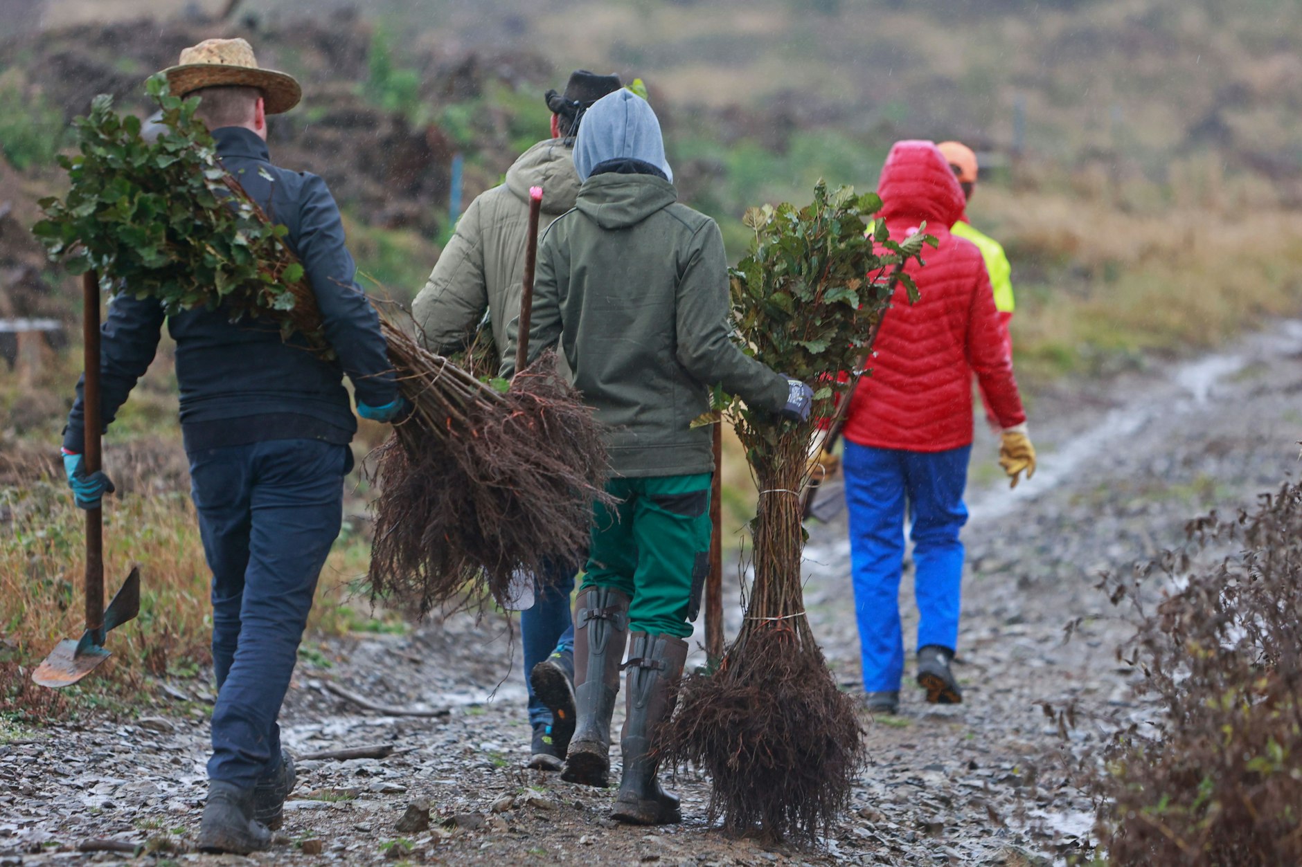 Teilnehmer und Förderer der Pflanz-Initiative heiermann4future tragen Roterlen zum Pflanzort.