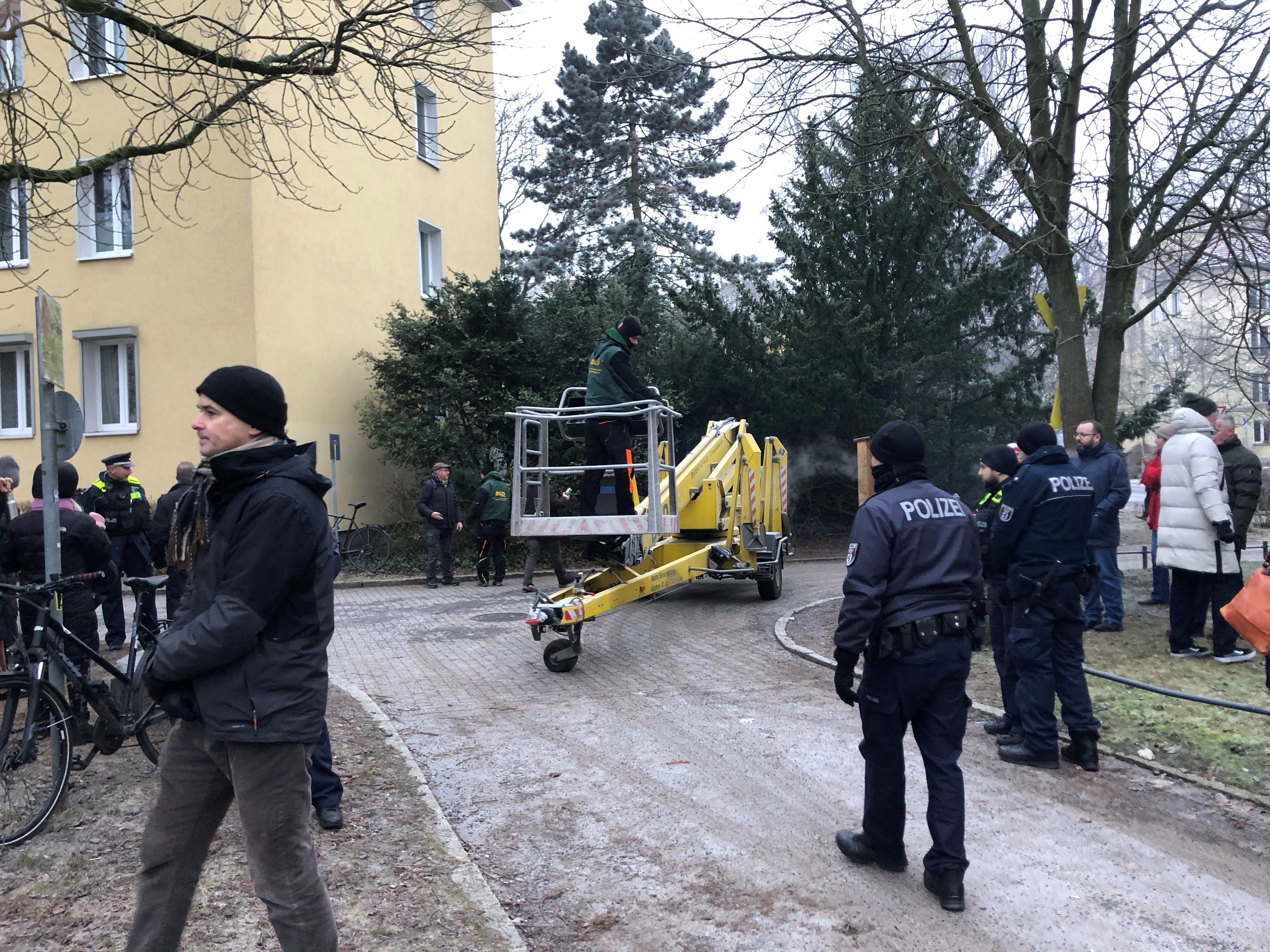 Bei Anruf kreischen die Kettensägen: Krimi im Schloßpark-Kiez in Pankow