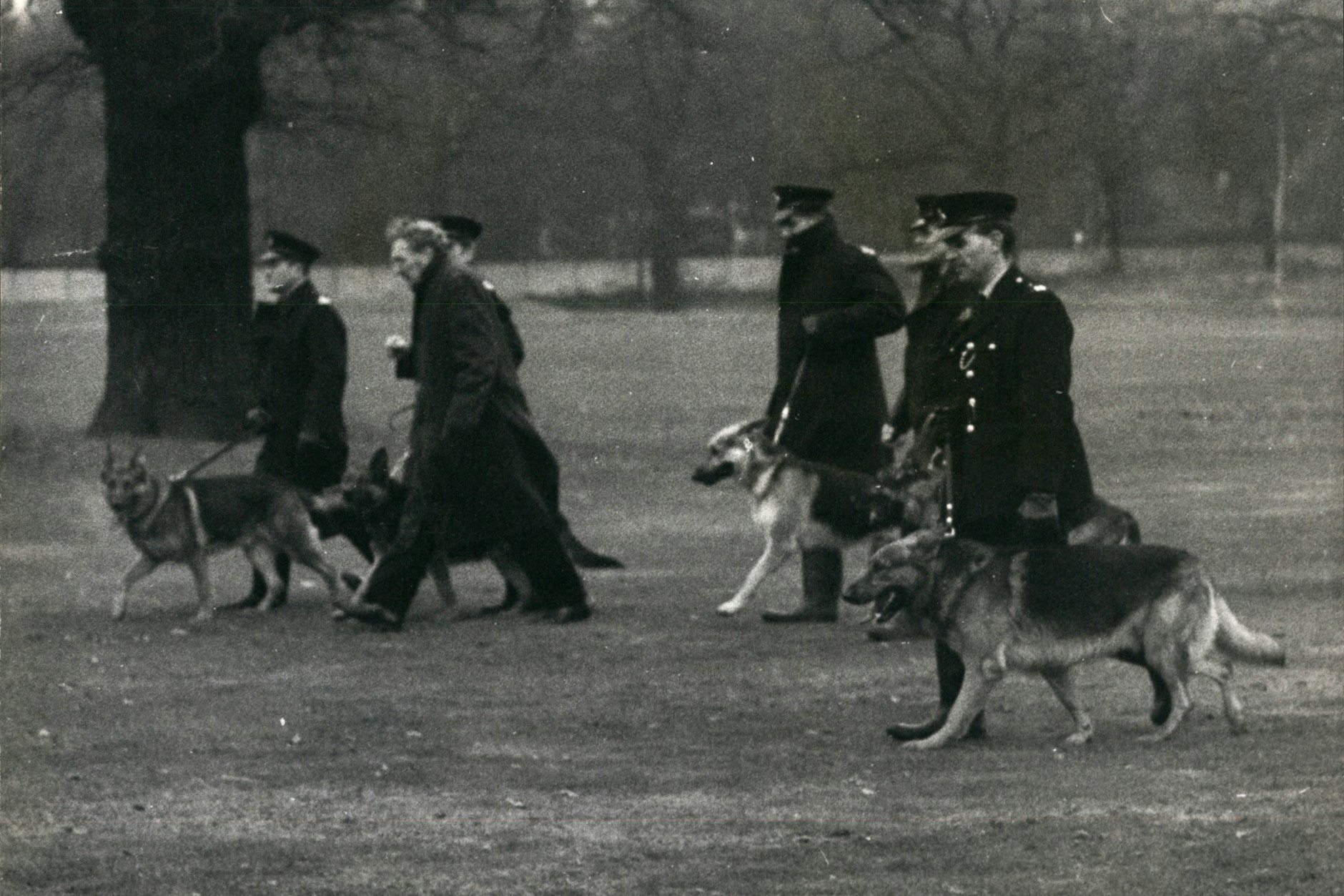Bereits kurz nach der grausamen Tat wurde verzweifelt nach der Leiche von Muriel McKay gesucht.