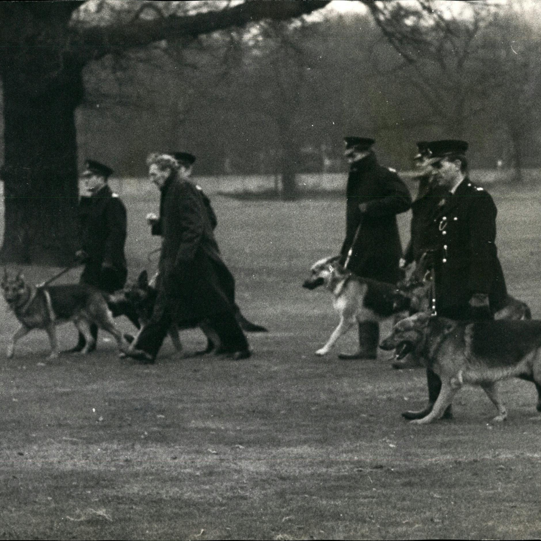 Mord vor 54 Jahren: Familie bietet 46.520 Euro für Leichen-Suche