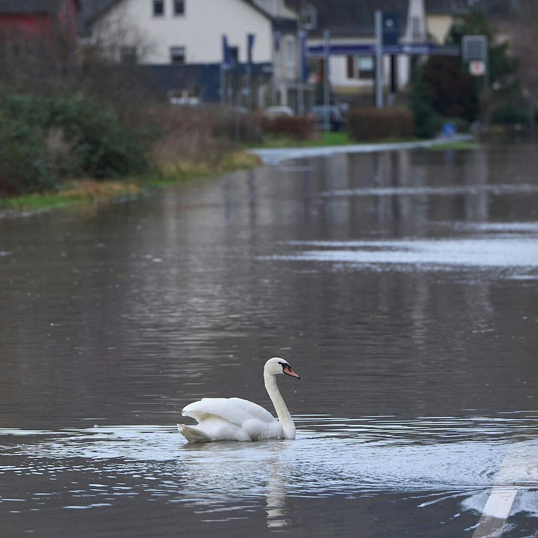 Hochwasser wird mit dem Klimawandel immer häufiger
