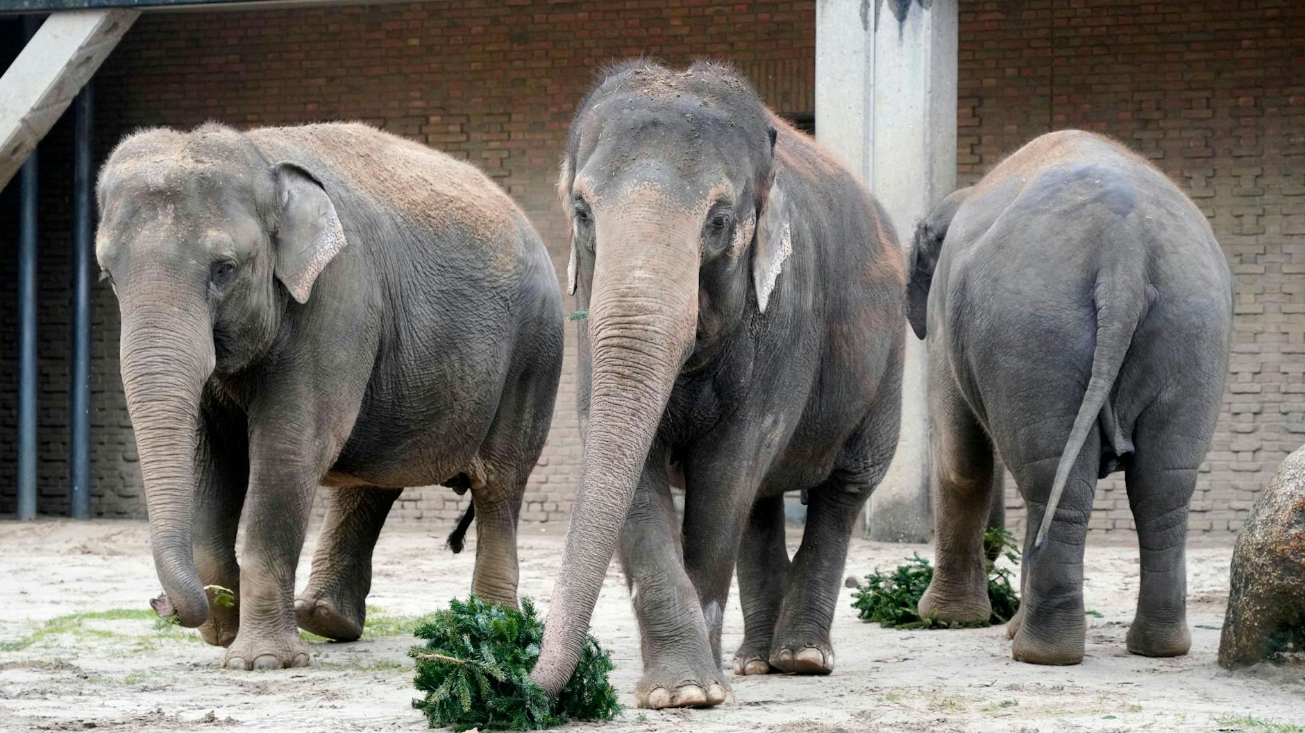 Wer die 120 Millionen im Eurojackpot gewinnt, könnte den Zoo ziemlich lange jeden Tag besuchen.