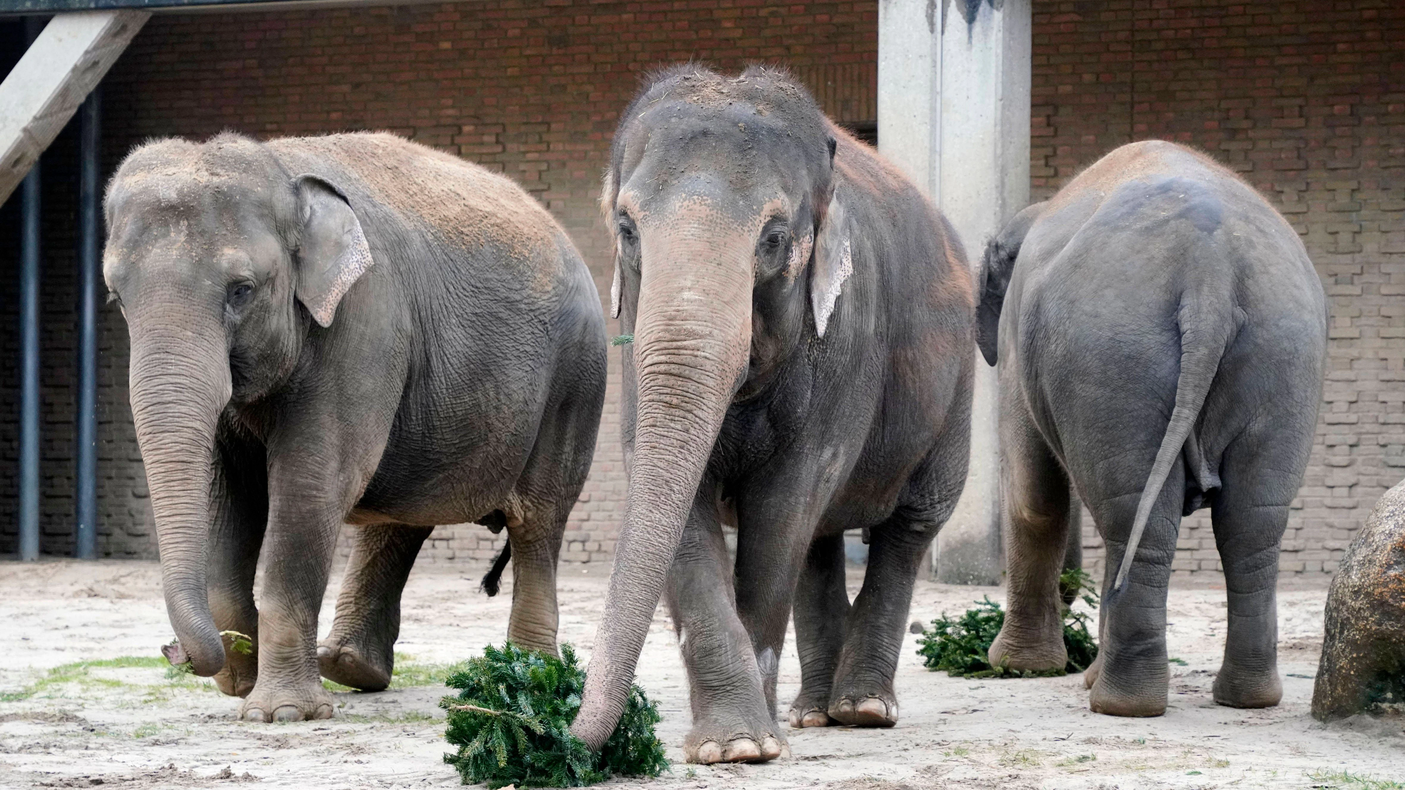Wer die 120 Millionen im Eurojackpot gewinnt, könnte den Zoo ziemlich lange jeden Tag besuchen.