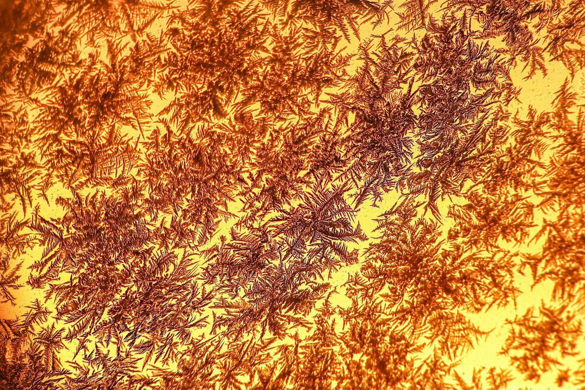 dpatopbilder - Die Sonne geht hinter Eiskristallen an einem Fenster auf.