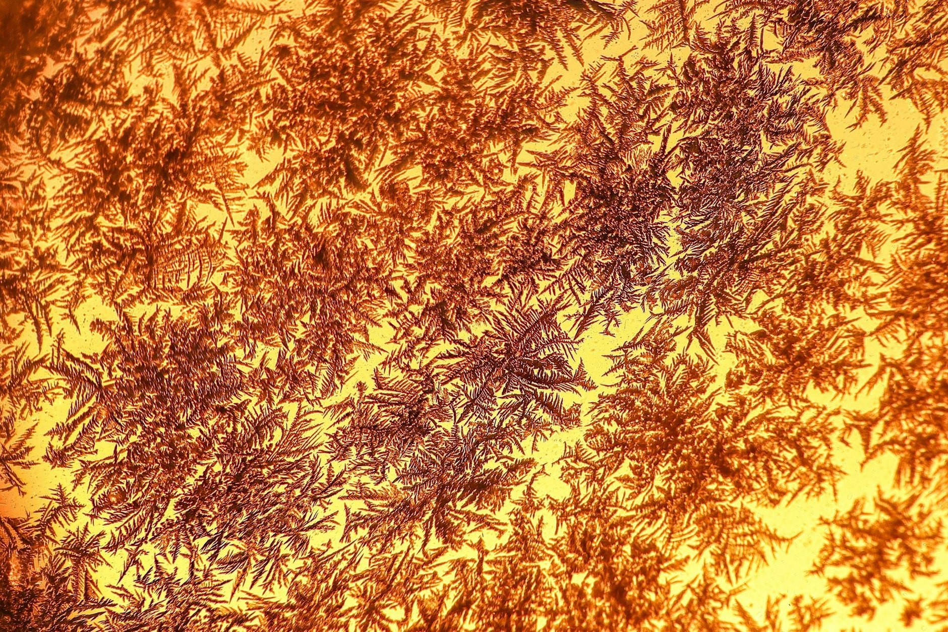 dpatopbilder - Die Sonne geht hinter Eiskristallen an einem Fenster auf.  