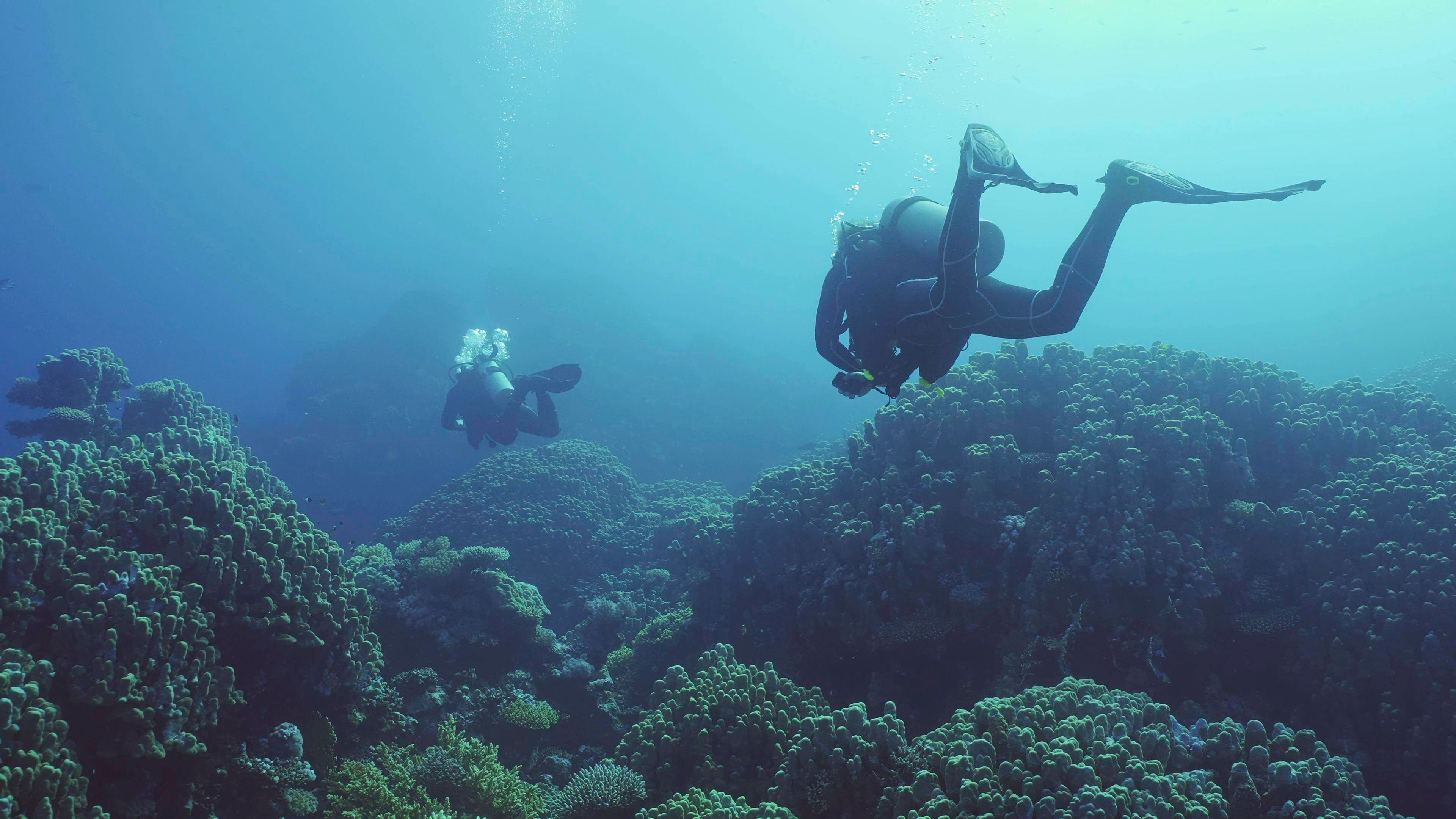Vermisste Taucher nach 30 Jahren in der Tiefe entdeckt
