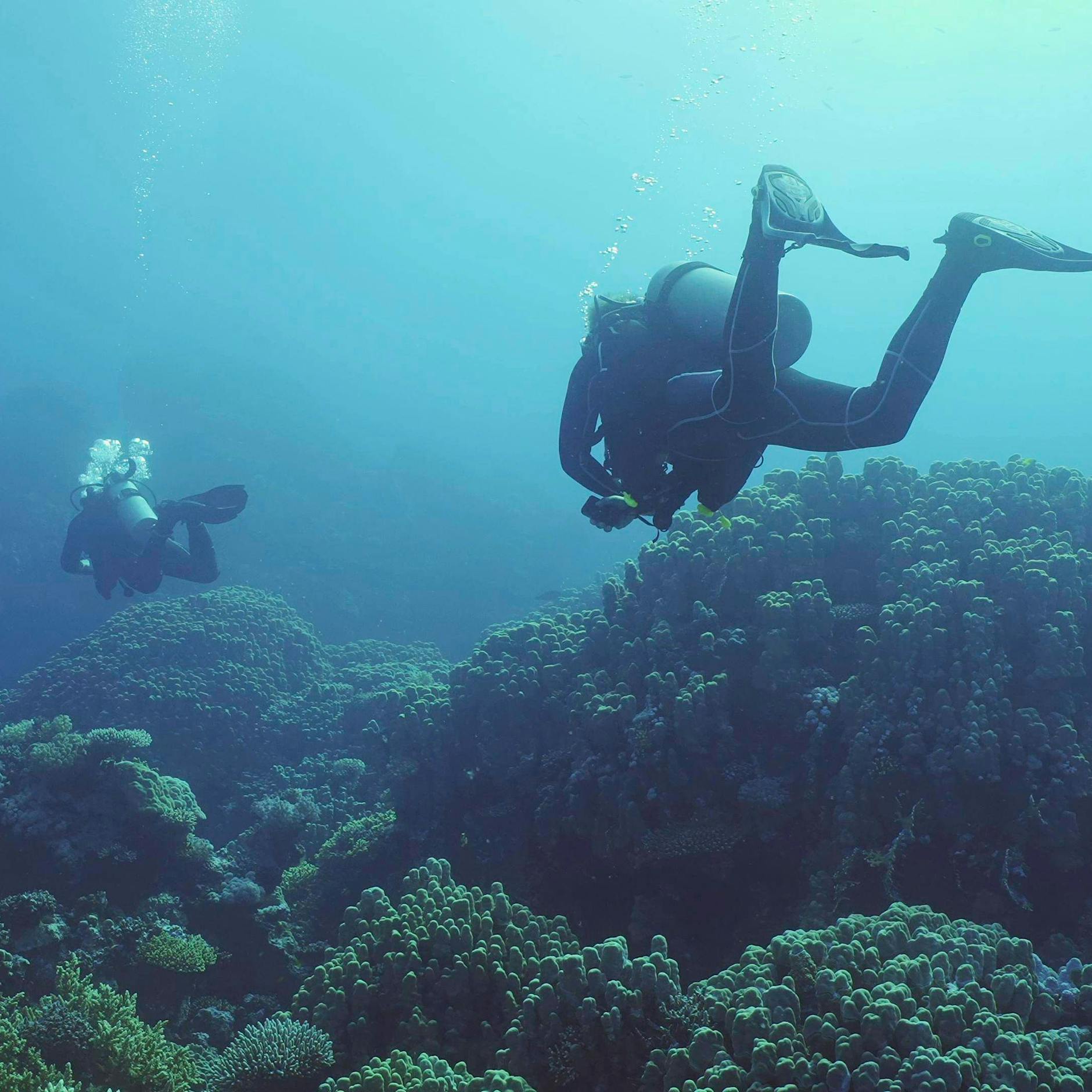 Vermisste Taucher nach 30 Jahren in der Tiefe entdeckt