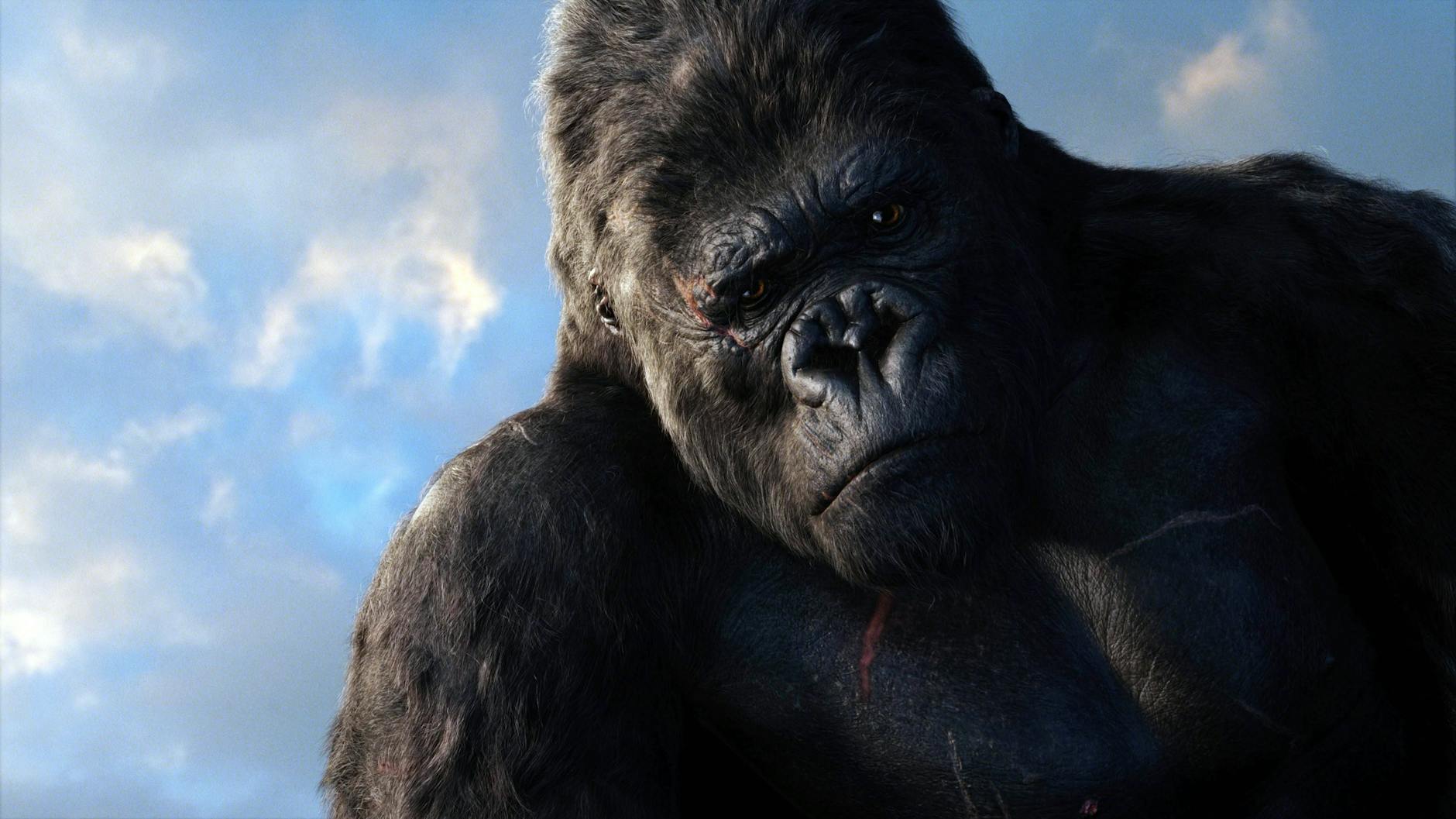 Riesen-Affen fanden den Weg auch auf die Hollywood-Leinwand, wie hier „King Kong “, ein Abenteuerfilm von Peter Jackson aus dem Jahr 2005