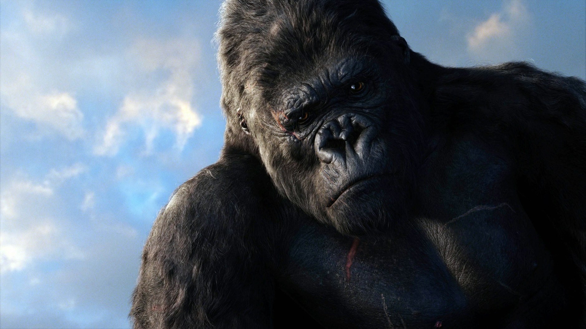 Riesen-Affen fanden den Weg auch auf die Hollywood-Leinwand, wie hier „King Kong “, ein Abenteuerfilm von Peter Jackson aus dem Jahr 2005