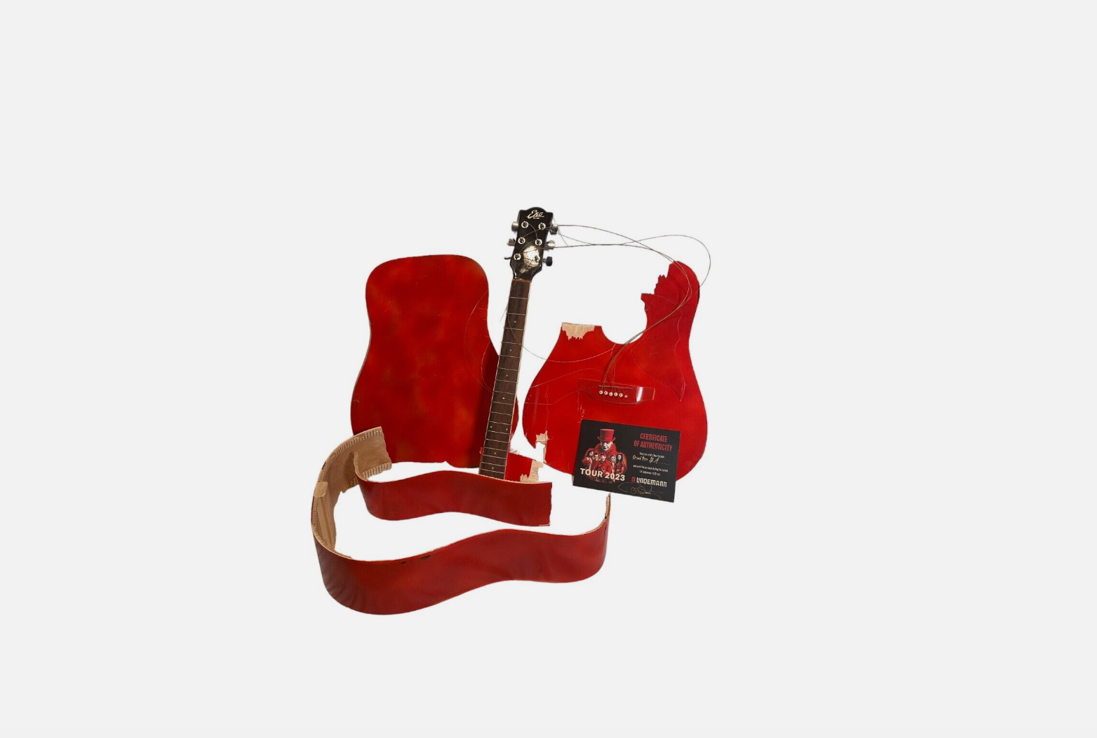 Image - Rammstein-Fans rasten aus: Till Lindemanns Leipzig-Gitarre ist auf Ebay gelandet