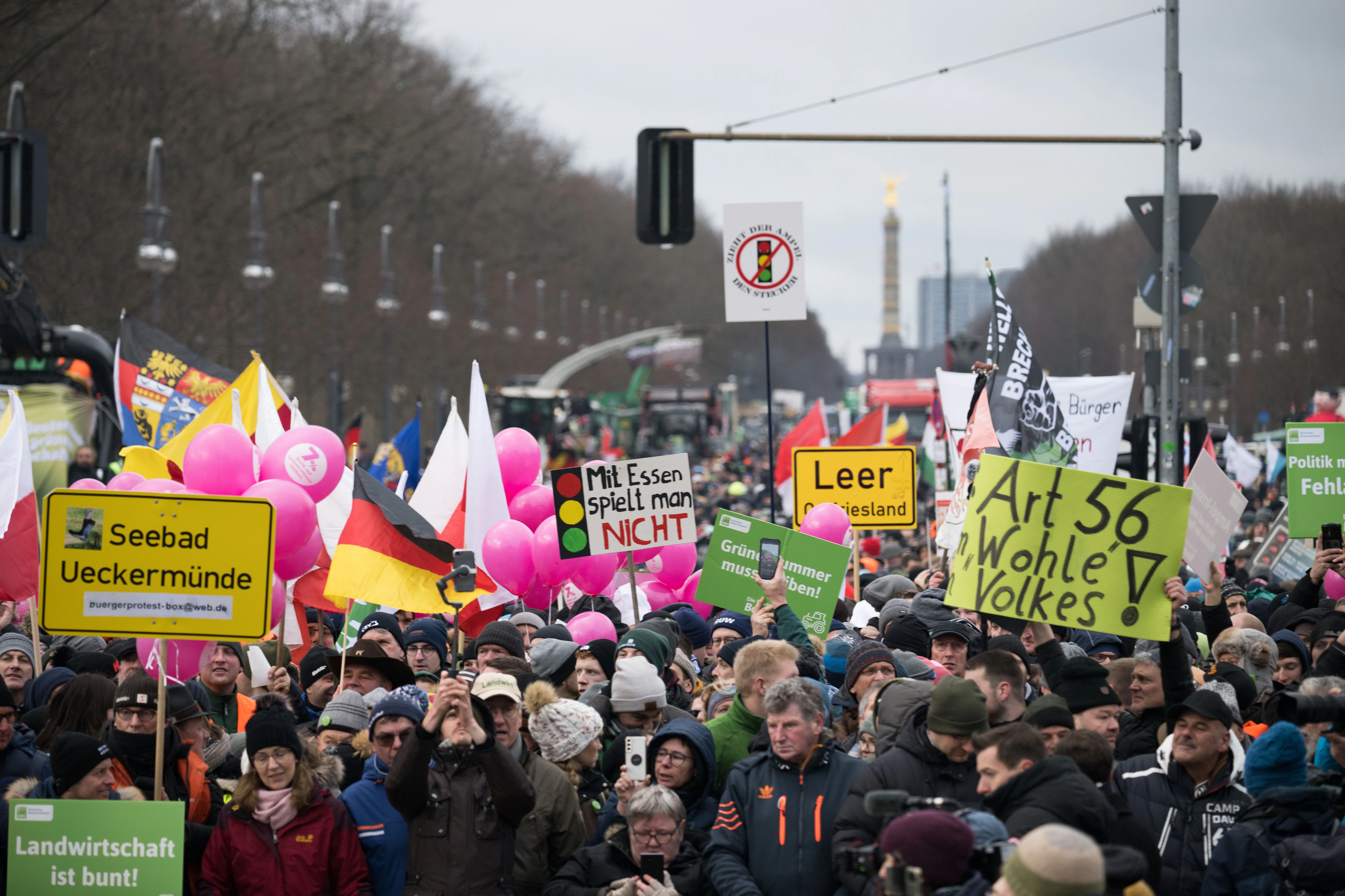 Demonstrationsteilnehmer stehen mit Plakaten während einer Protestdemonstration vor dem Brandenburger Tor.&nbsp;